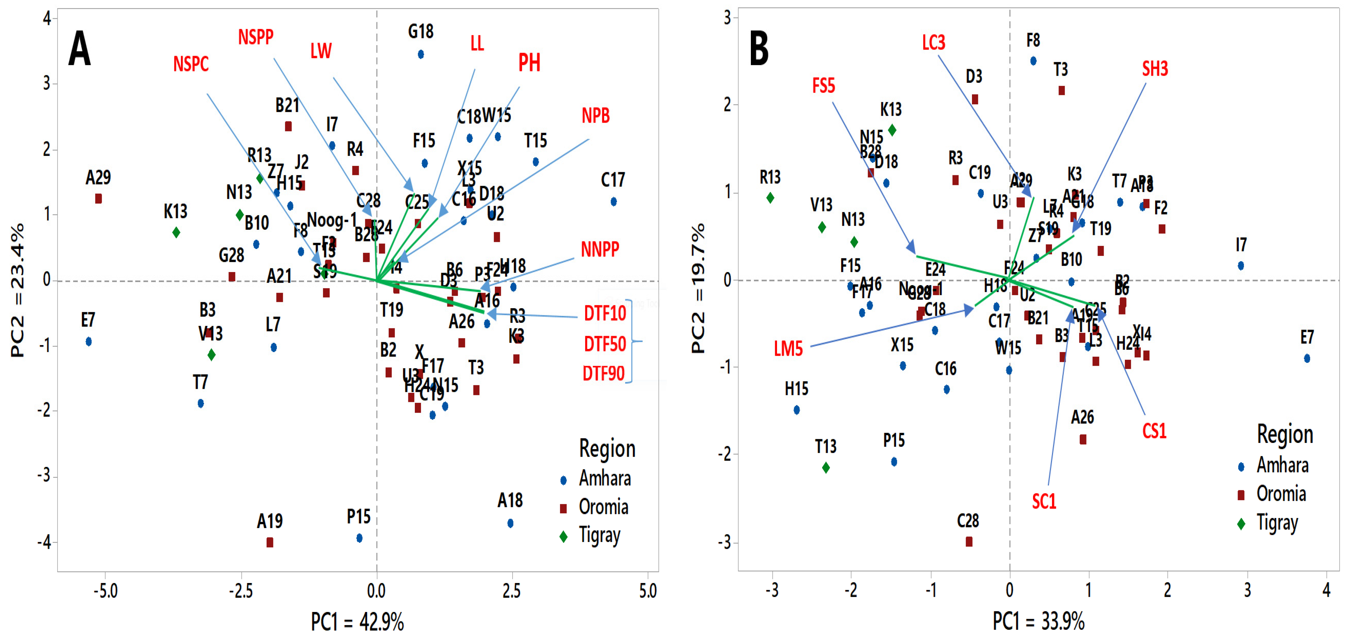 Agronomy 11 01479 g004