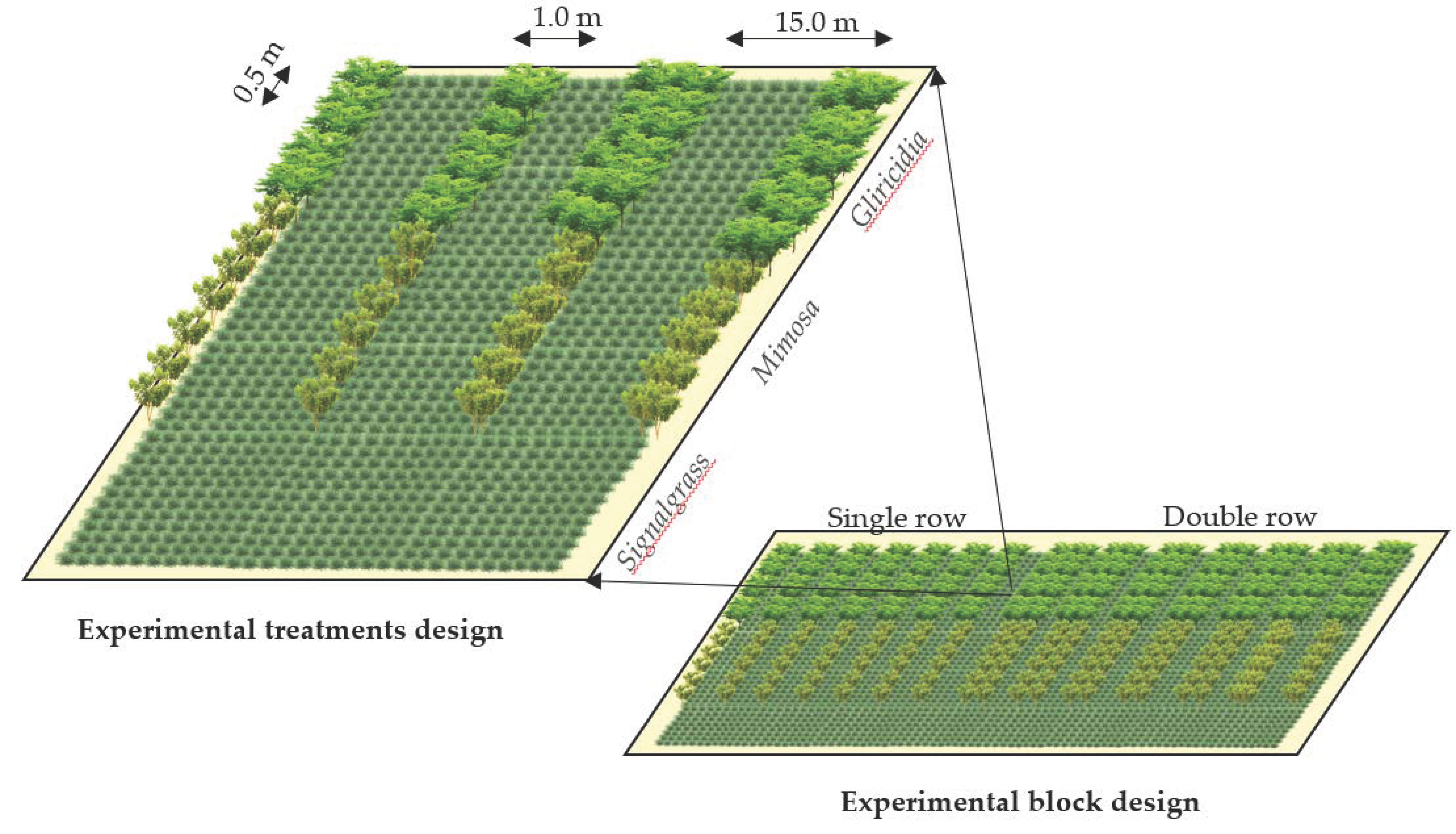 Agronomy 11 01509 g001 Agronomy 11 01509 g001