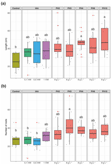 Agronomy | Free Full-Text | The Modulation of Auxin-Responsive Genes ...