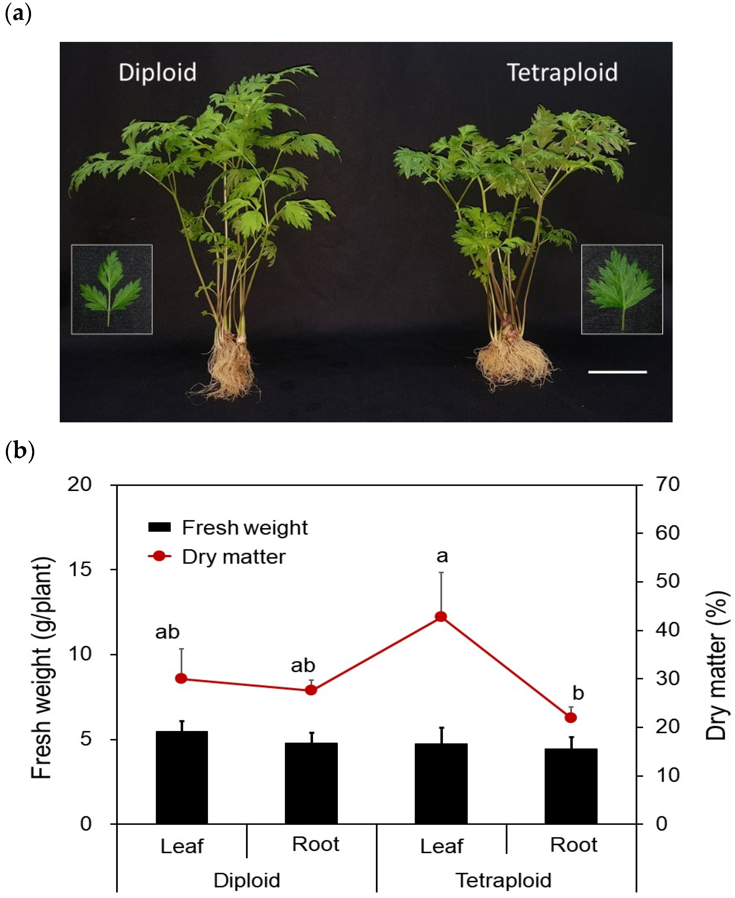 Agronomy 11 01561 g002
