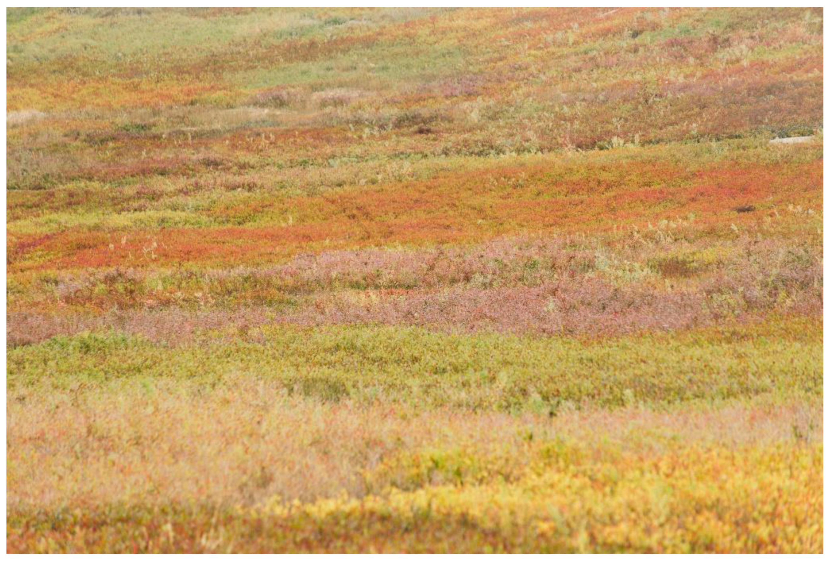 Agronomy 11 01572 g002 Agronomy 11 01572 g002