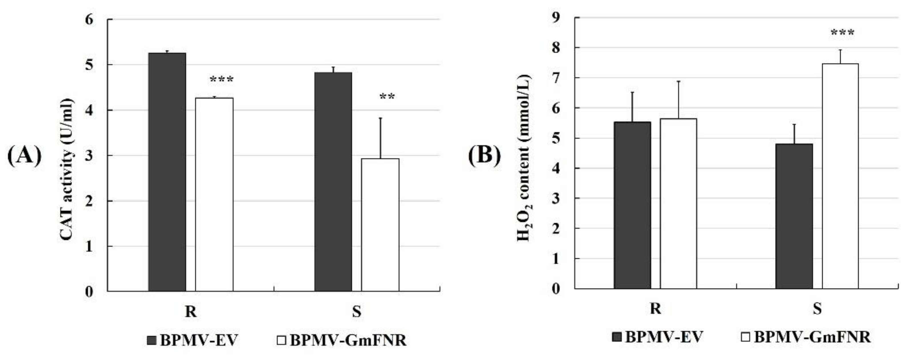 Agronomy 11 01592 g004