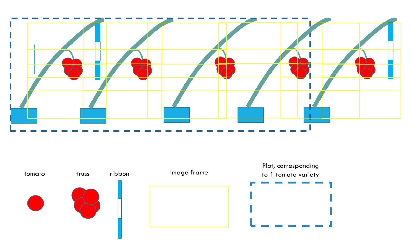 Agronomy 11 01599 g003