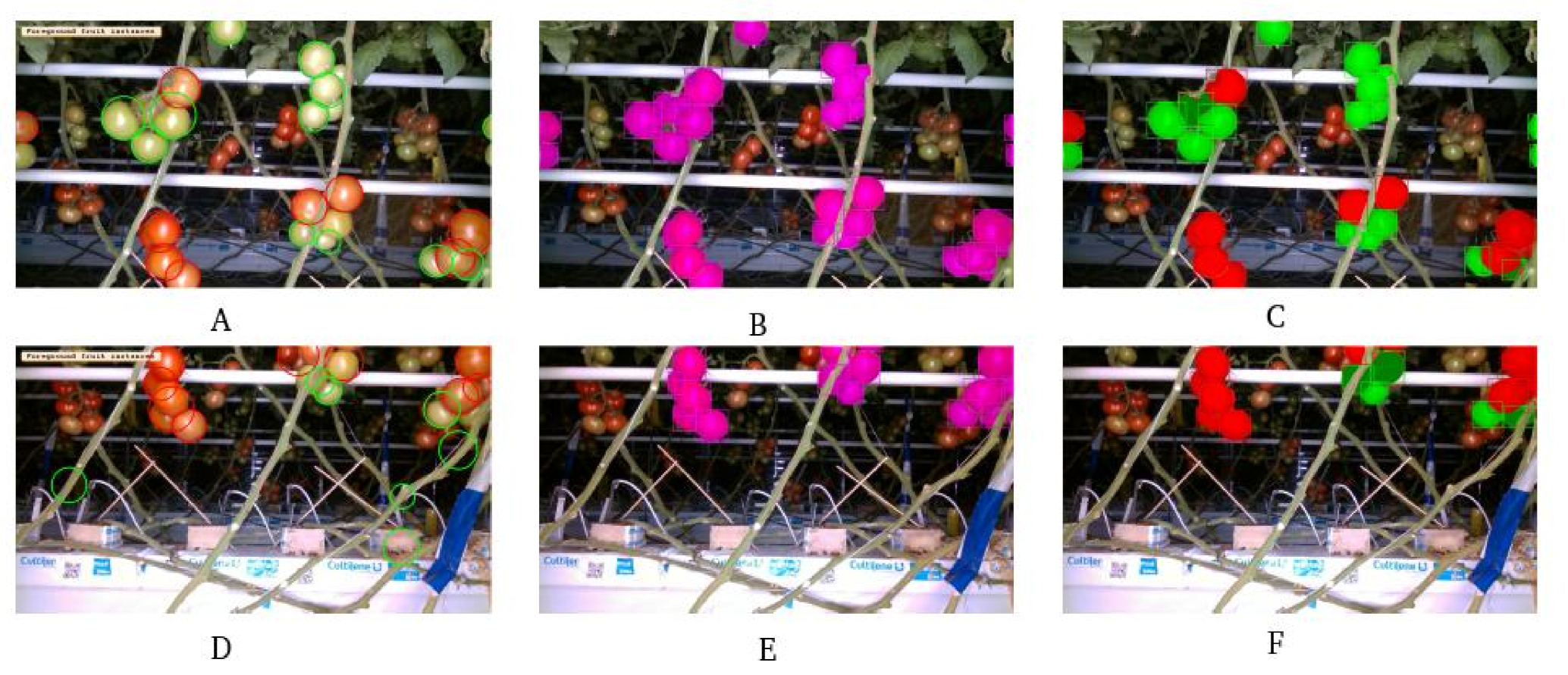 Agronomy 11 01599 g005