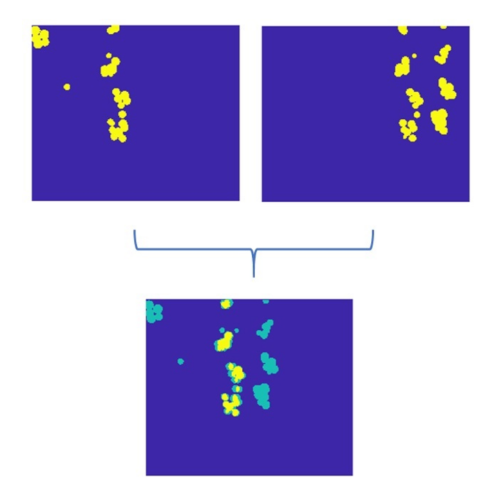 Agronomy 11 01599 g008