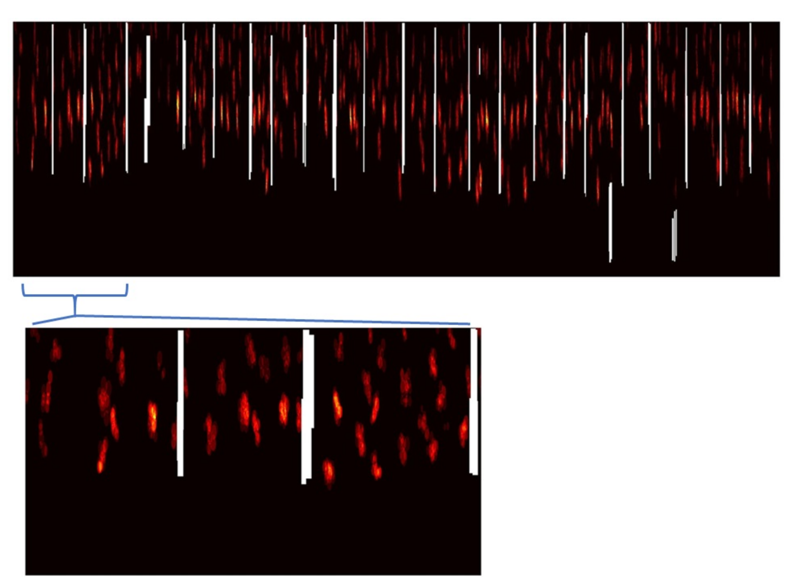 Agronomy 11 01599 g009