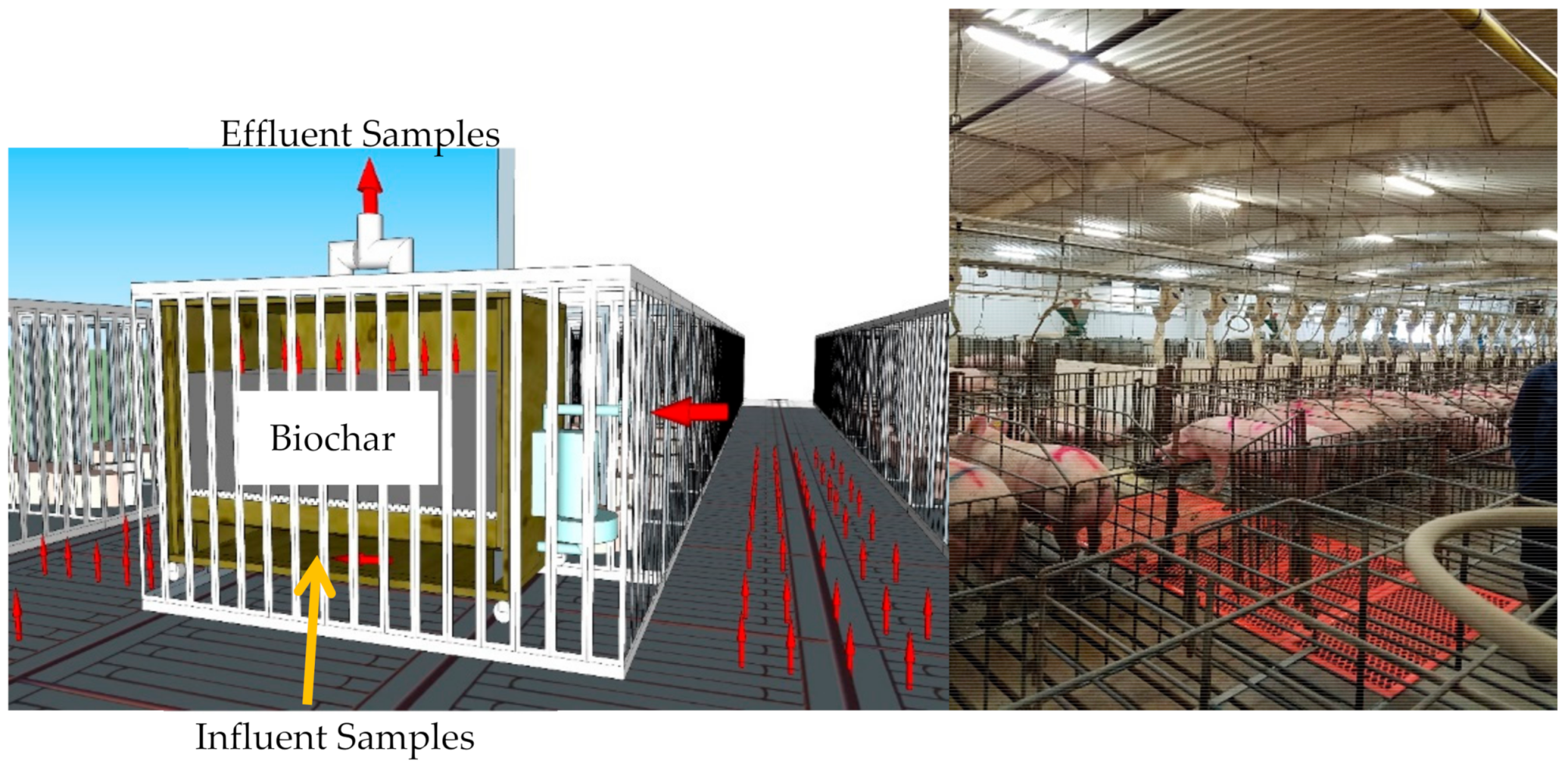 Agronomy Free Full Text Pilot Scale H2s And Swine Odor Removal System Using Commercially Available Biochar Html