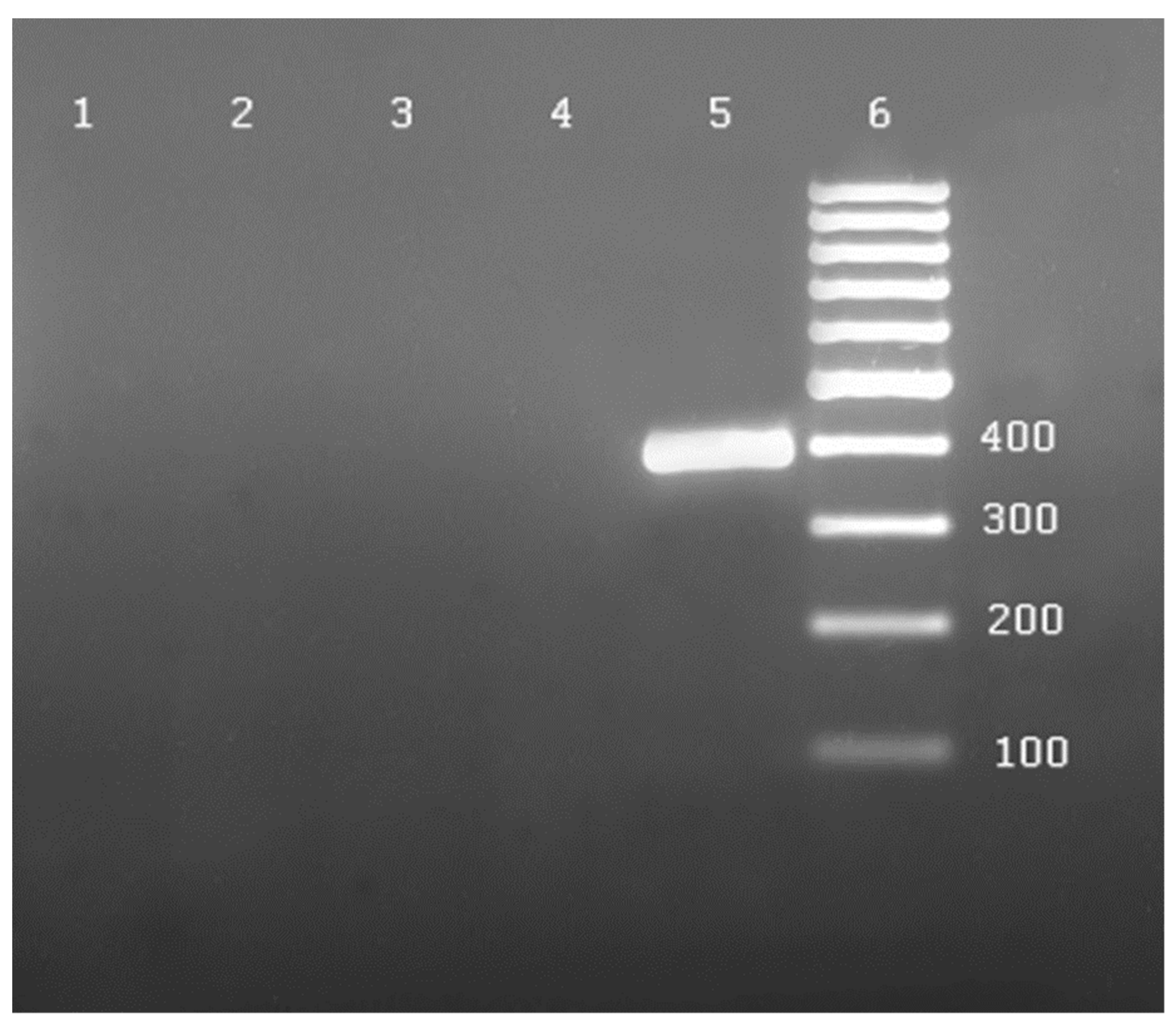 Agronomy 11 01617 g002