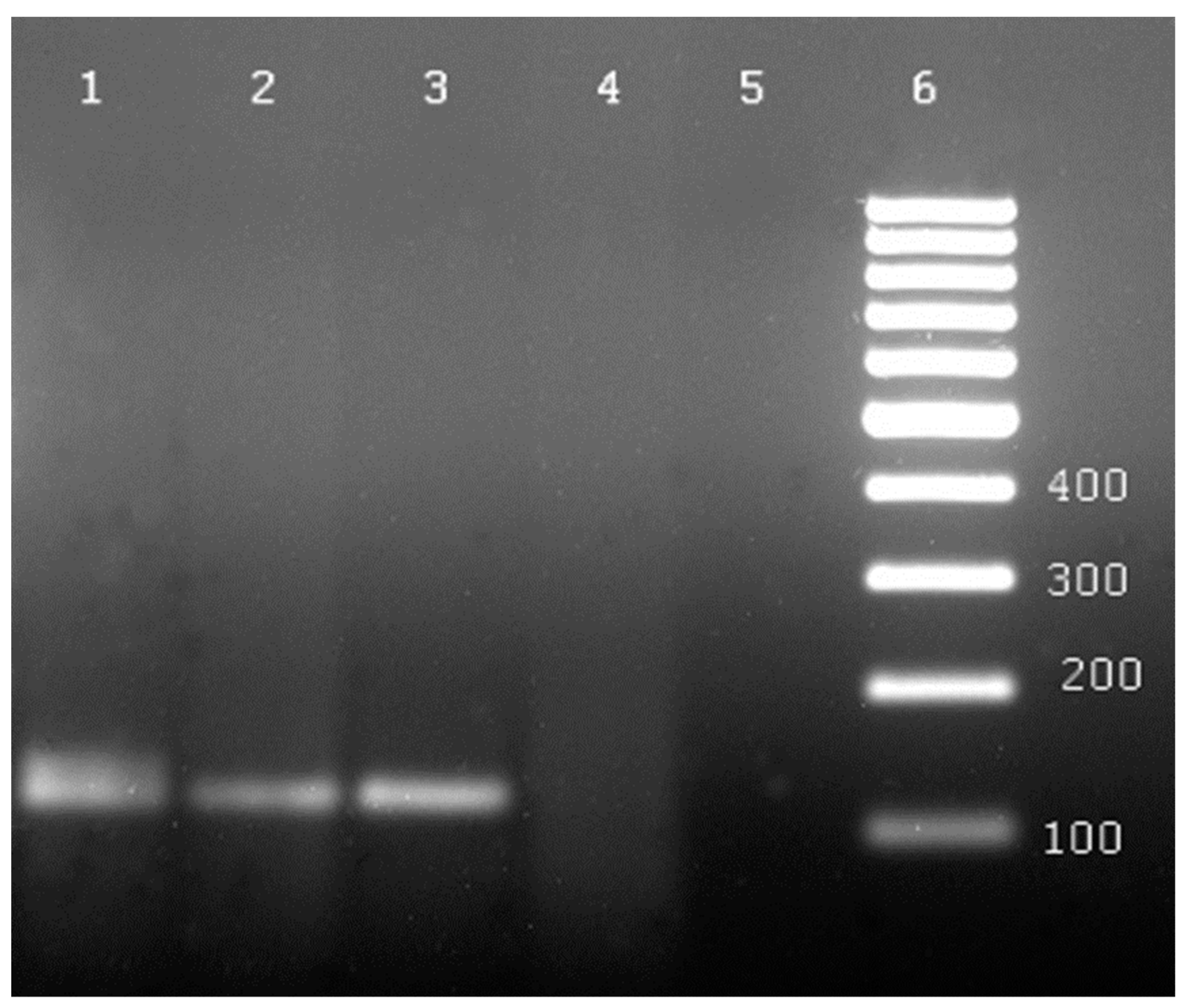 Agronomy 11 01617 g007