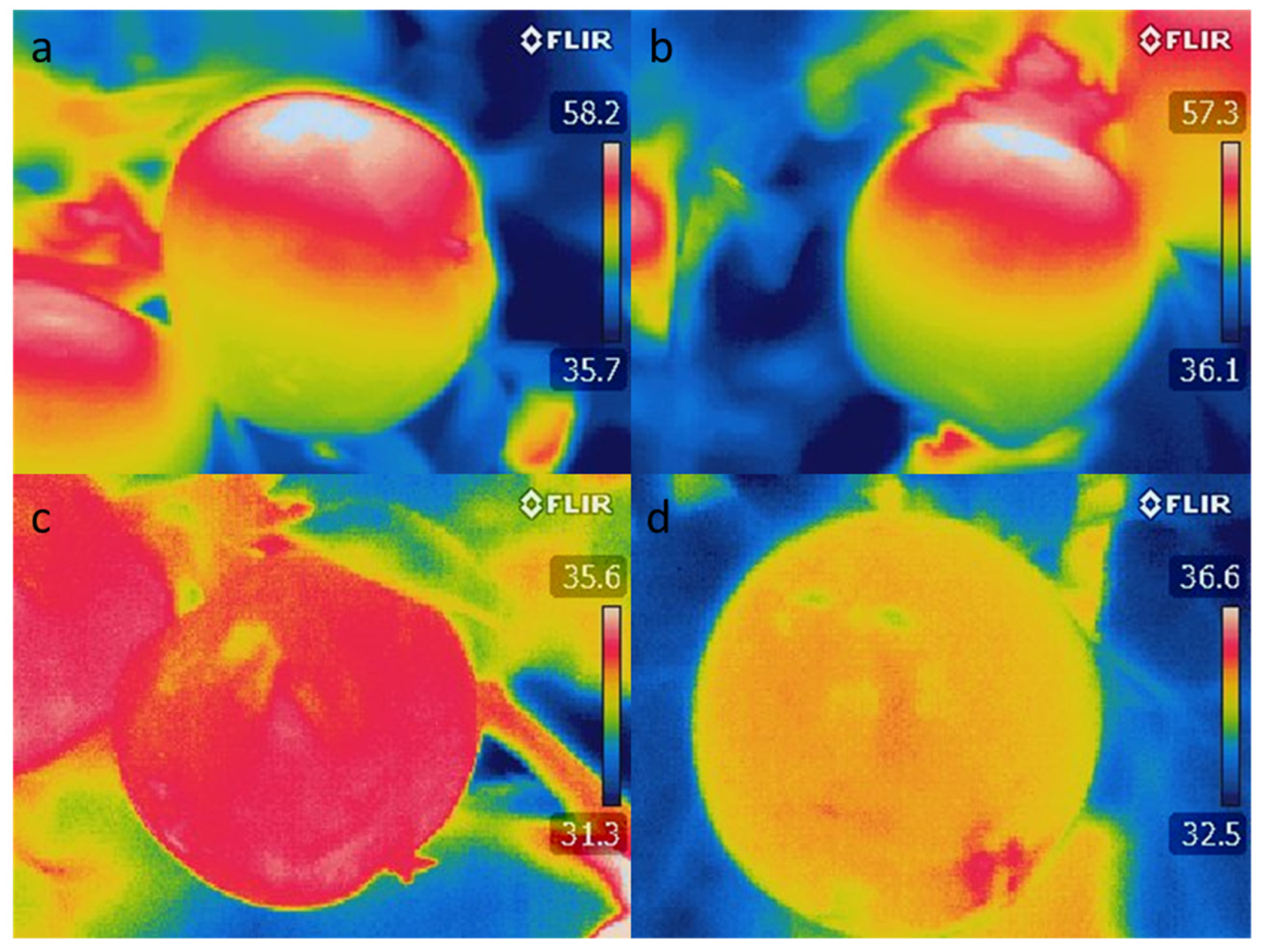 Agronomy 11 01618 g004