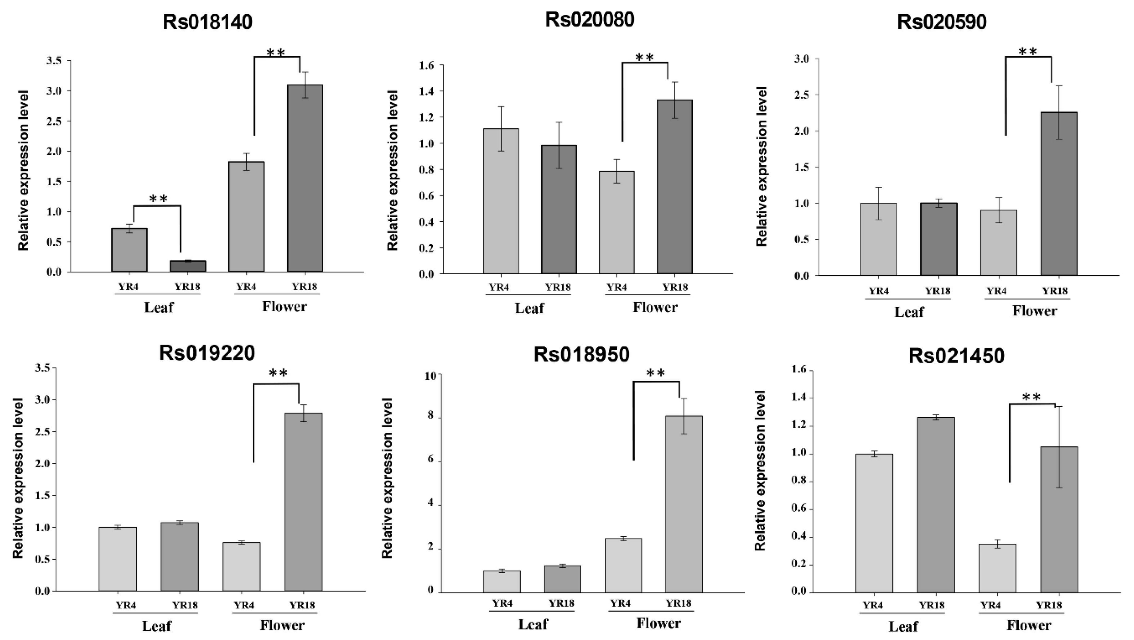 Agronomy 11 01623 g005 Agronomy 11 01623 g005