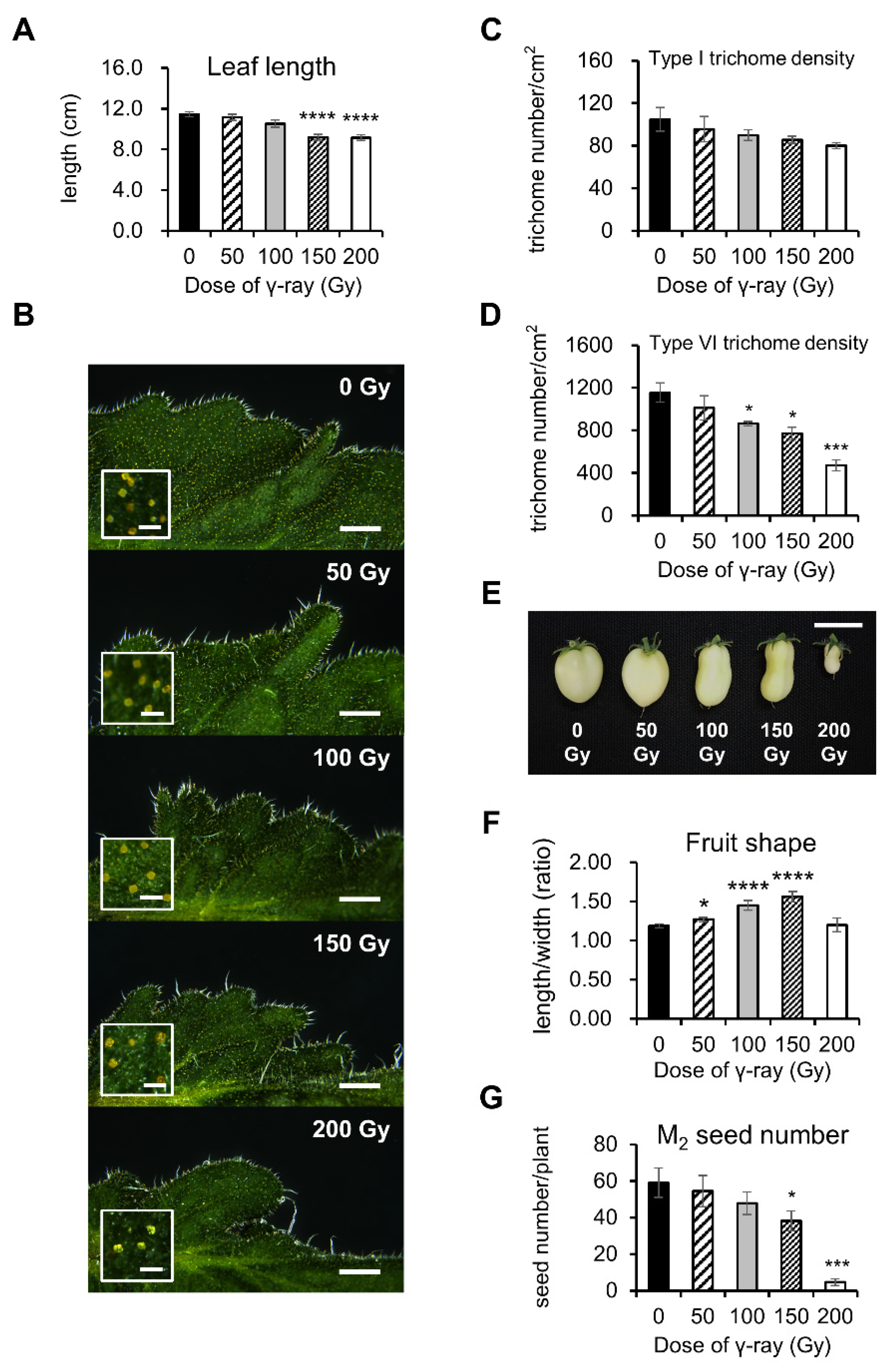 Agronomy 11 01638 g001