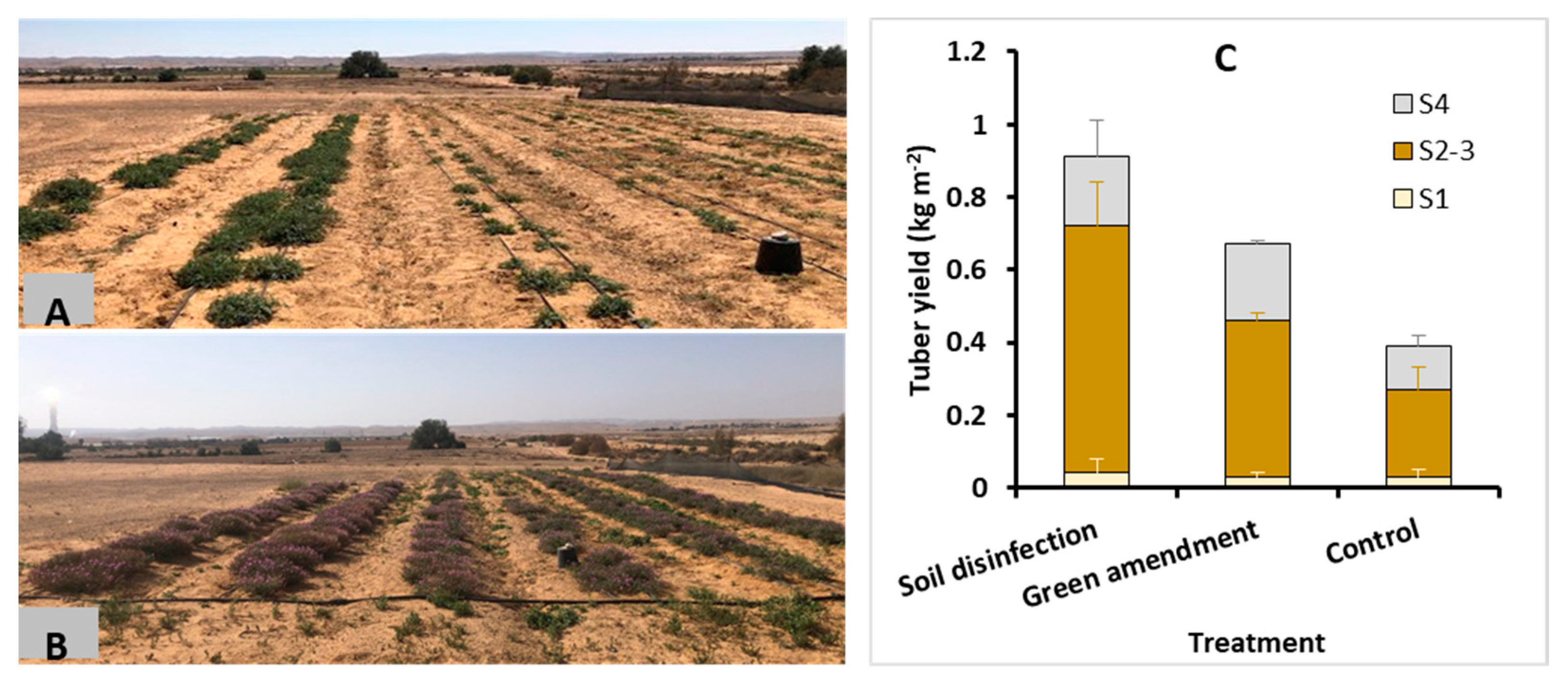 Agronomy 11 01715 g006