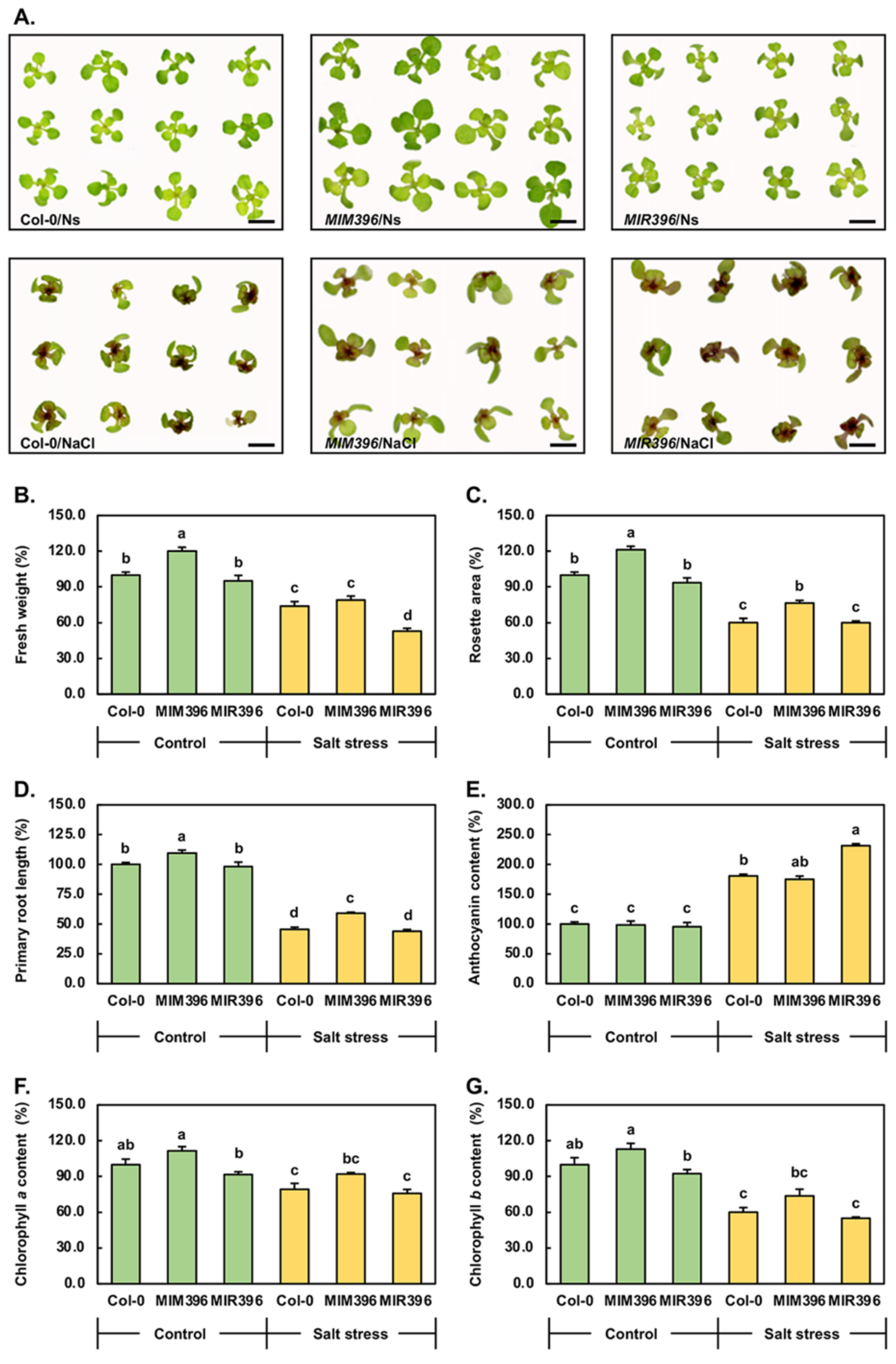 Agronomy 11 01751 g002