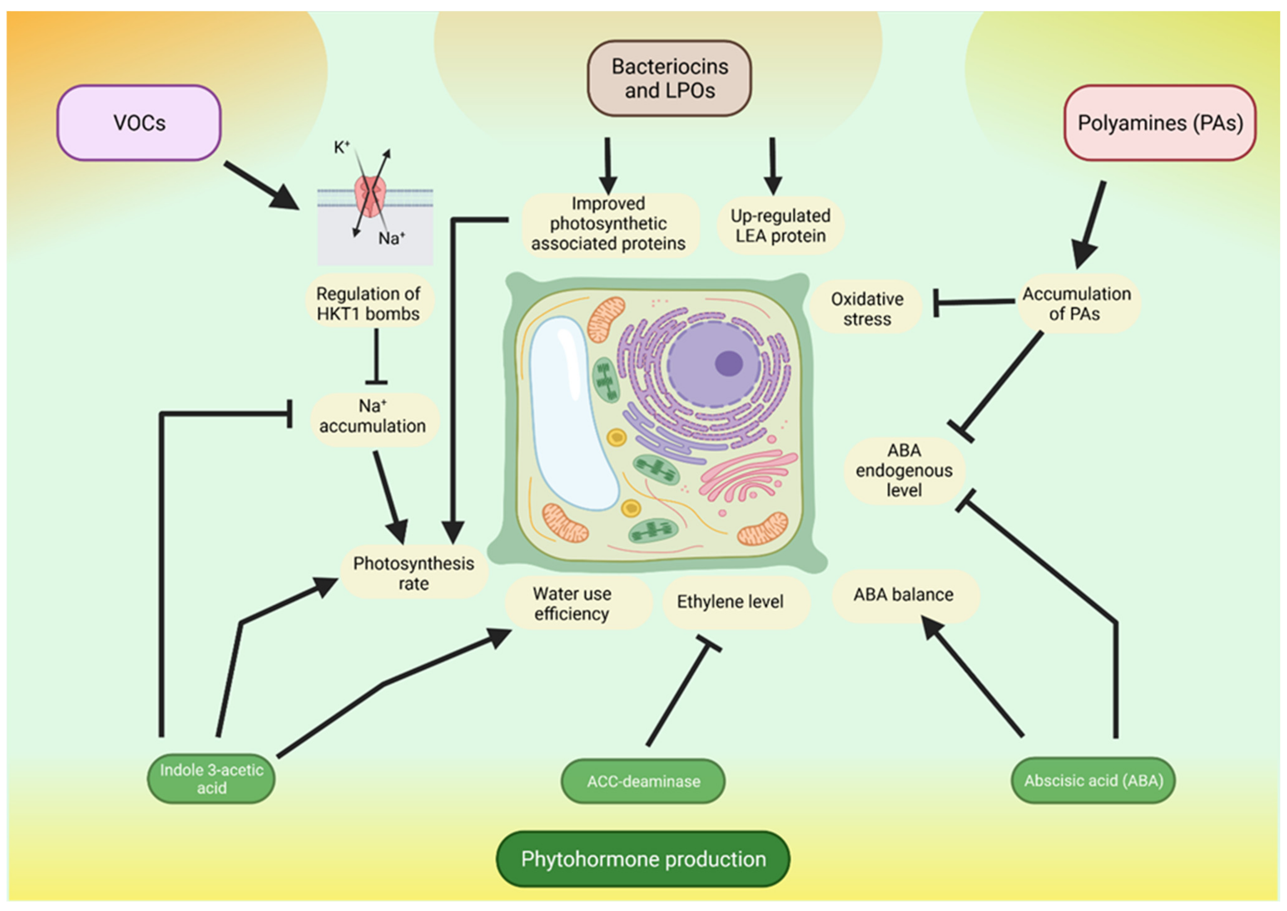 Agronomy 11 01759 g002