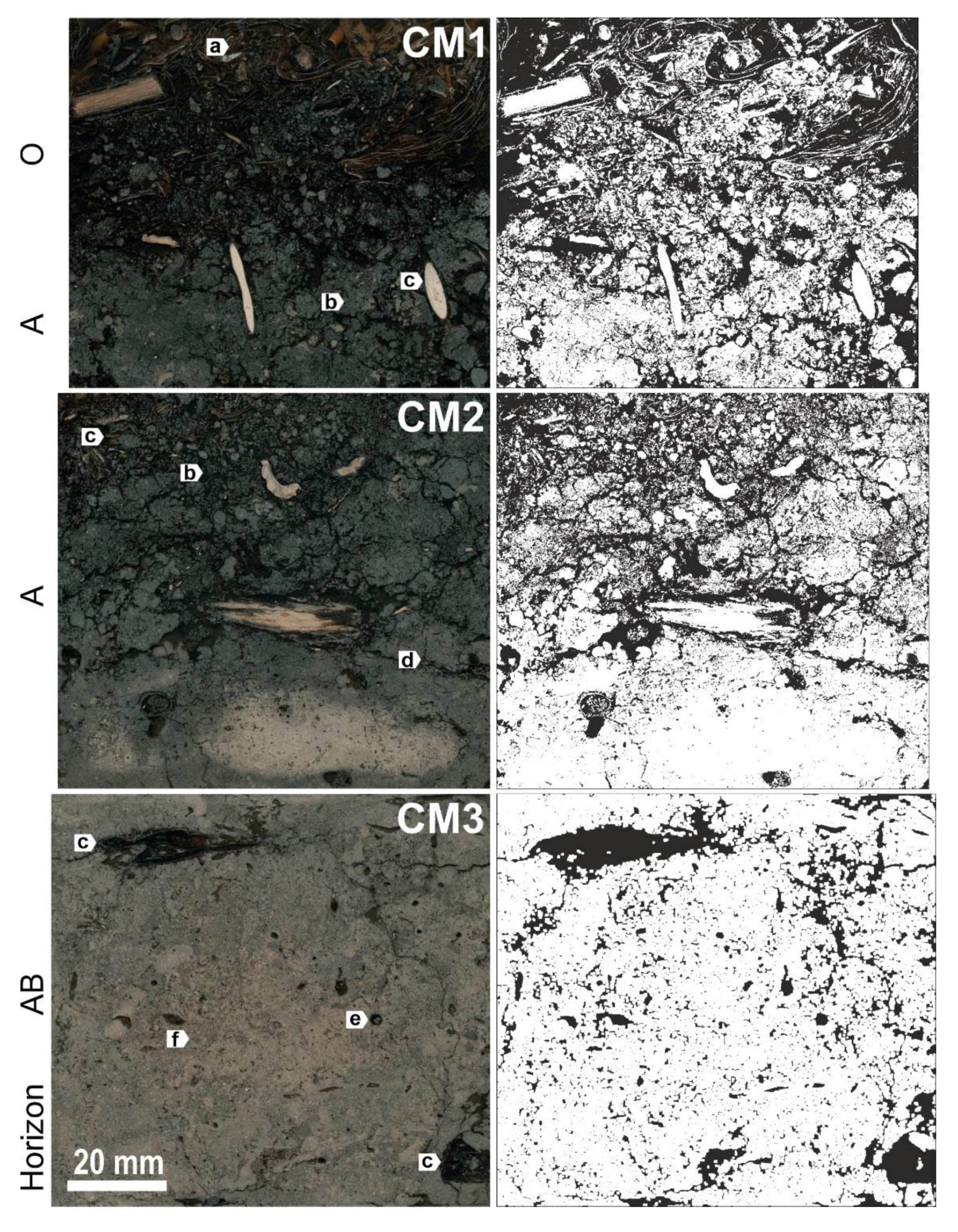 Agronomy 11 01883 g002a