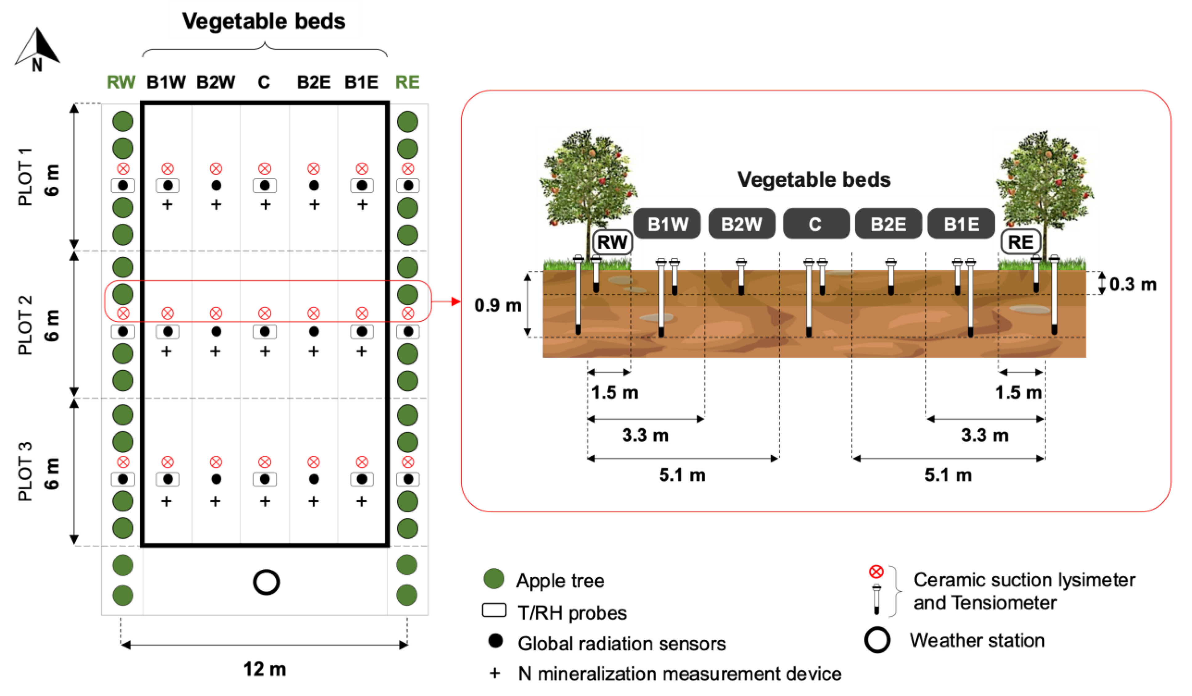 Agronomy | Free Full-Text | Growth of Vegetables in an Agroecological  Garden-Orchard System: The Role of Spatiotemporal Variations of  Microclimatic Conditions and Soil Properties