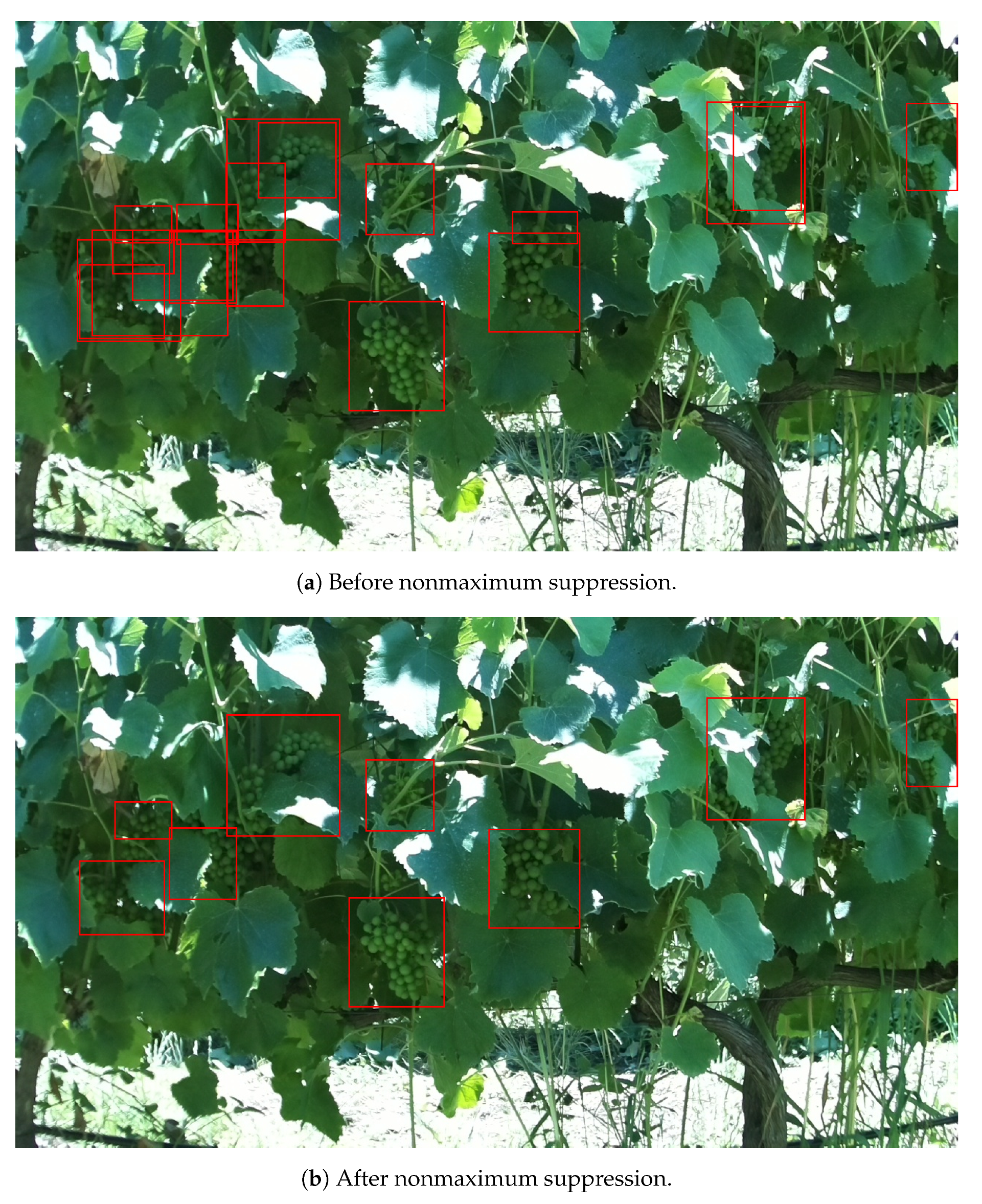 Agronomy 11 01890 g007