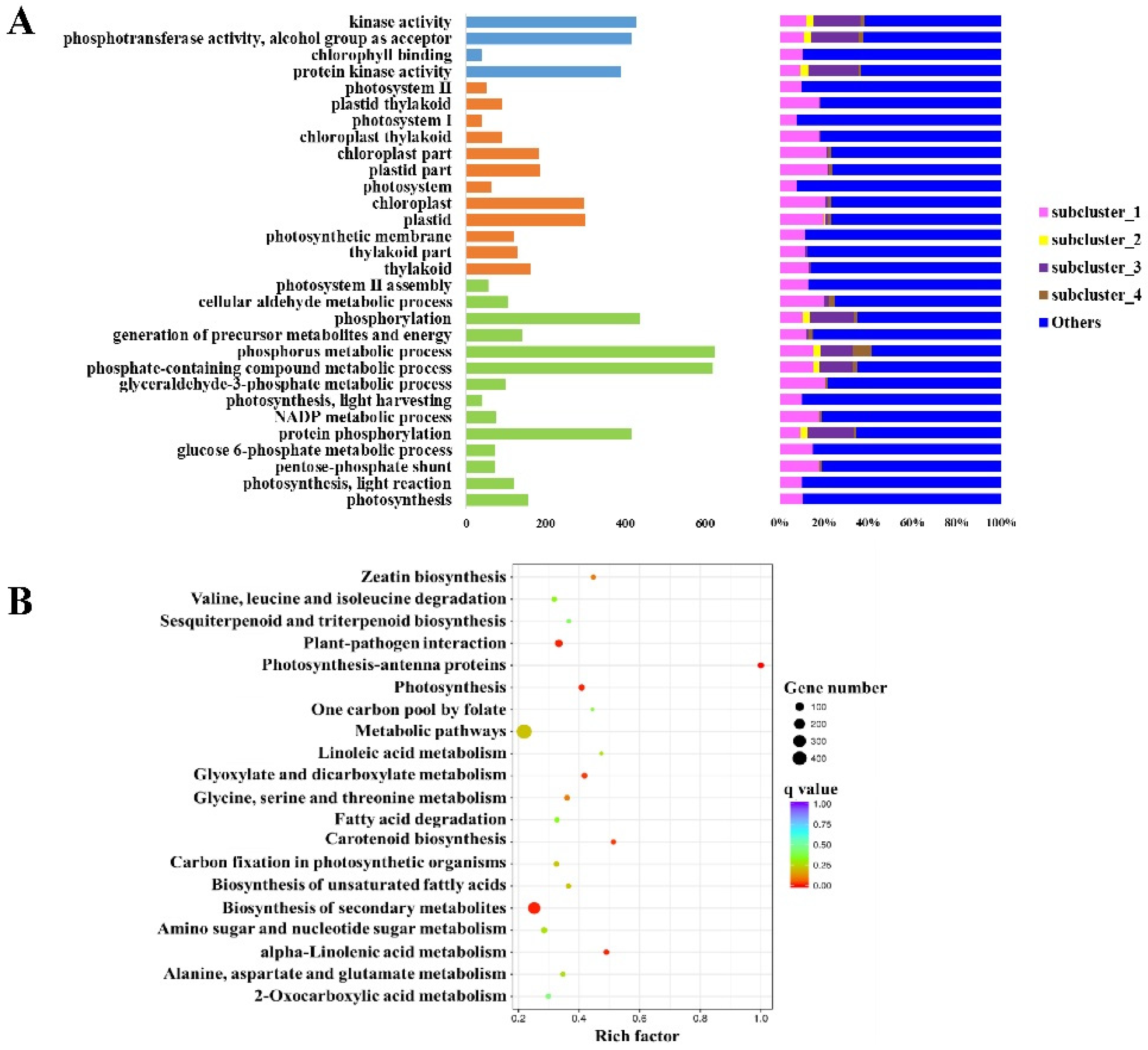 Agronomy 11 01919 g004