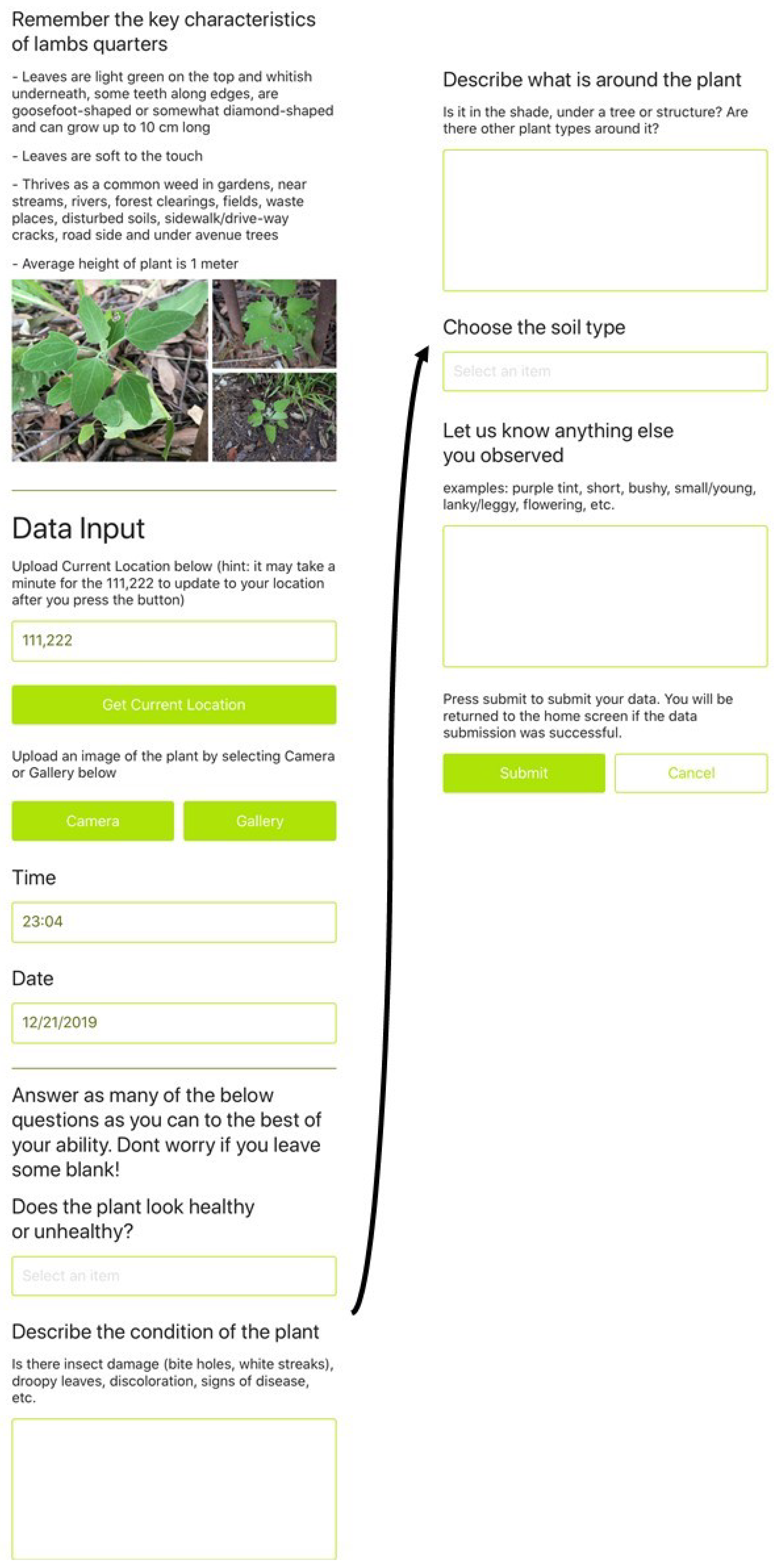 Agronomy 11 01951 g006