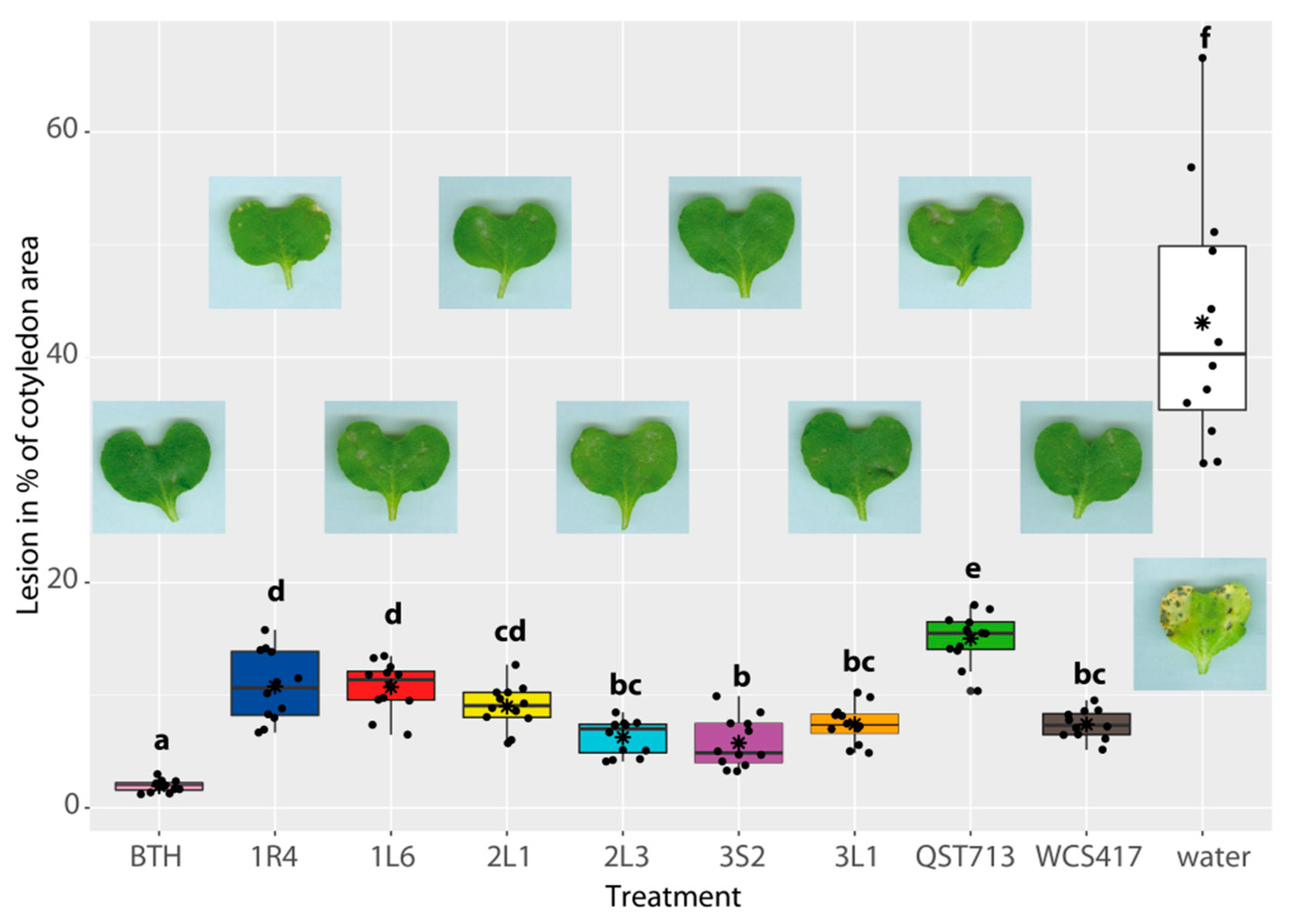 Agronomy 11 01966 g004