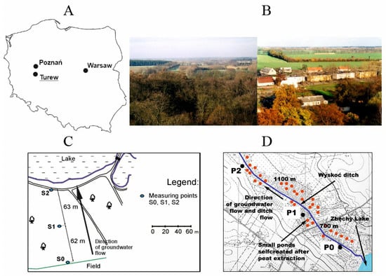 Agronomy | Free Full-Text | Impact of Shelterbelt and Peatland