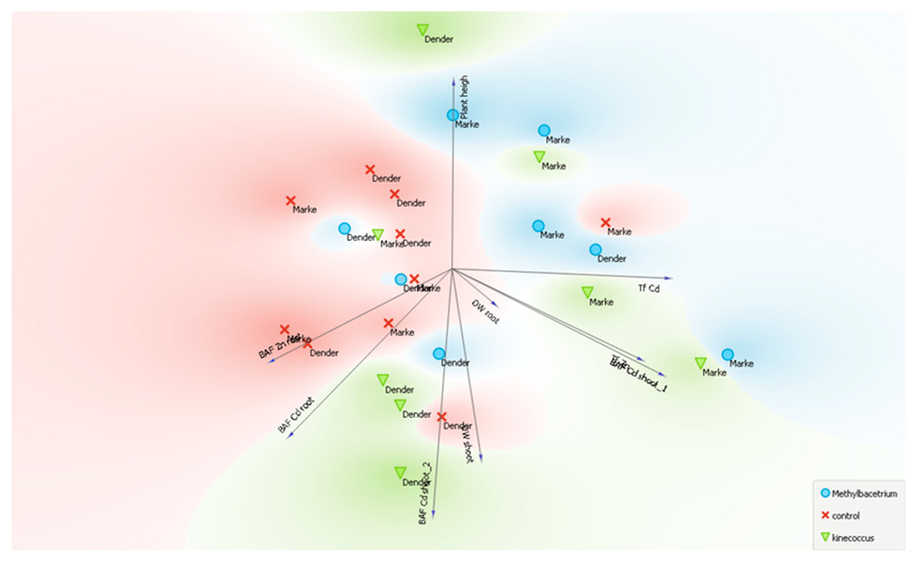 Agronomy 11 01987 g007