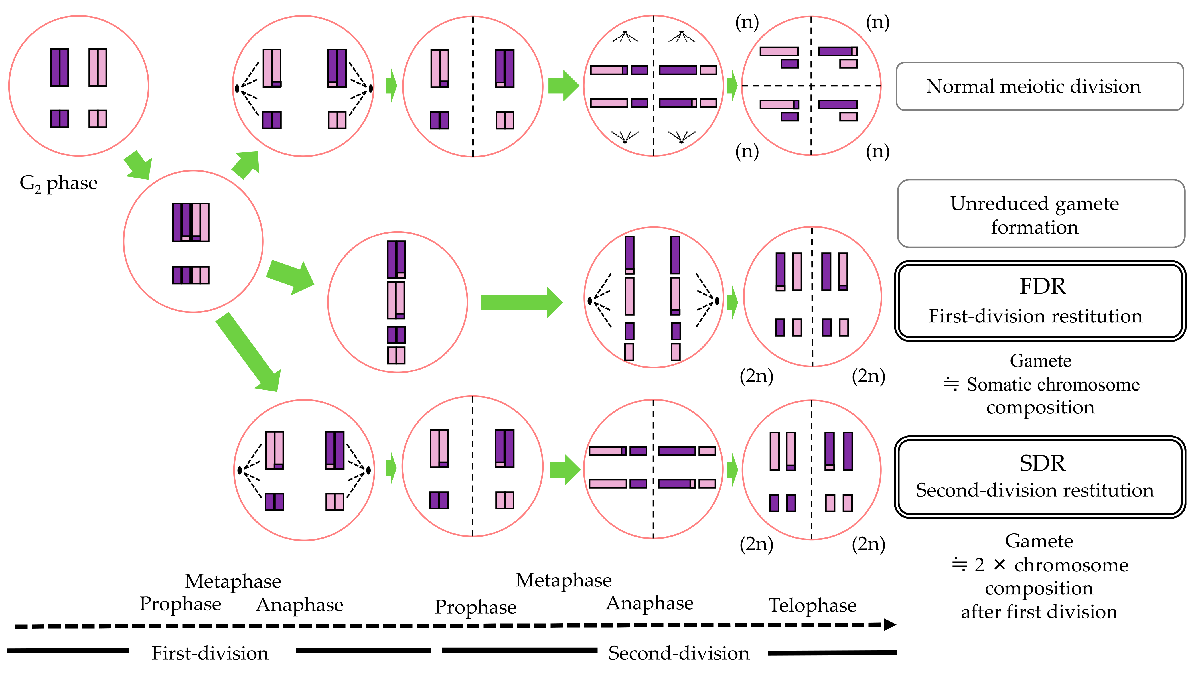 Agronomy 11 01988 g001 Agronomy 11 01988 g001