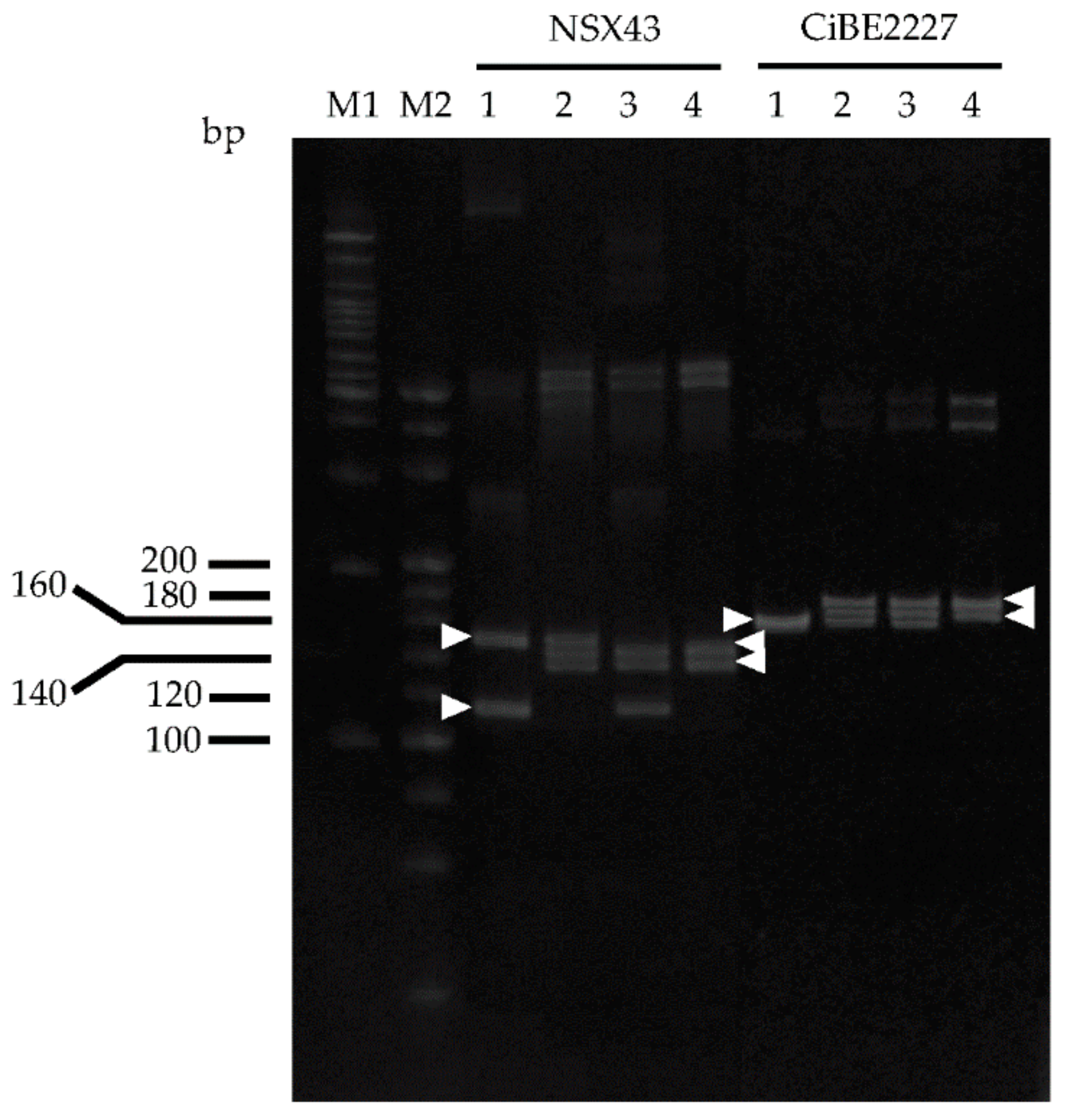 Agronomy 11 01988 g002 Agronomy 11 01988 g002