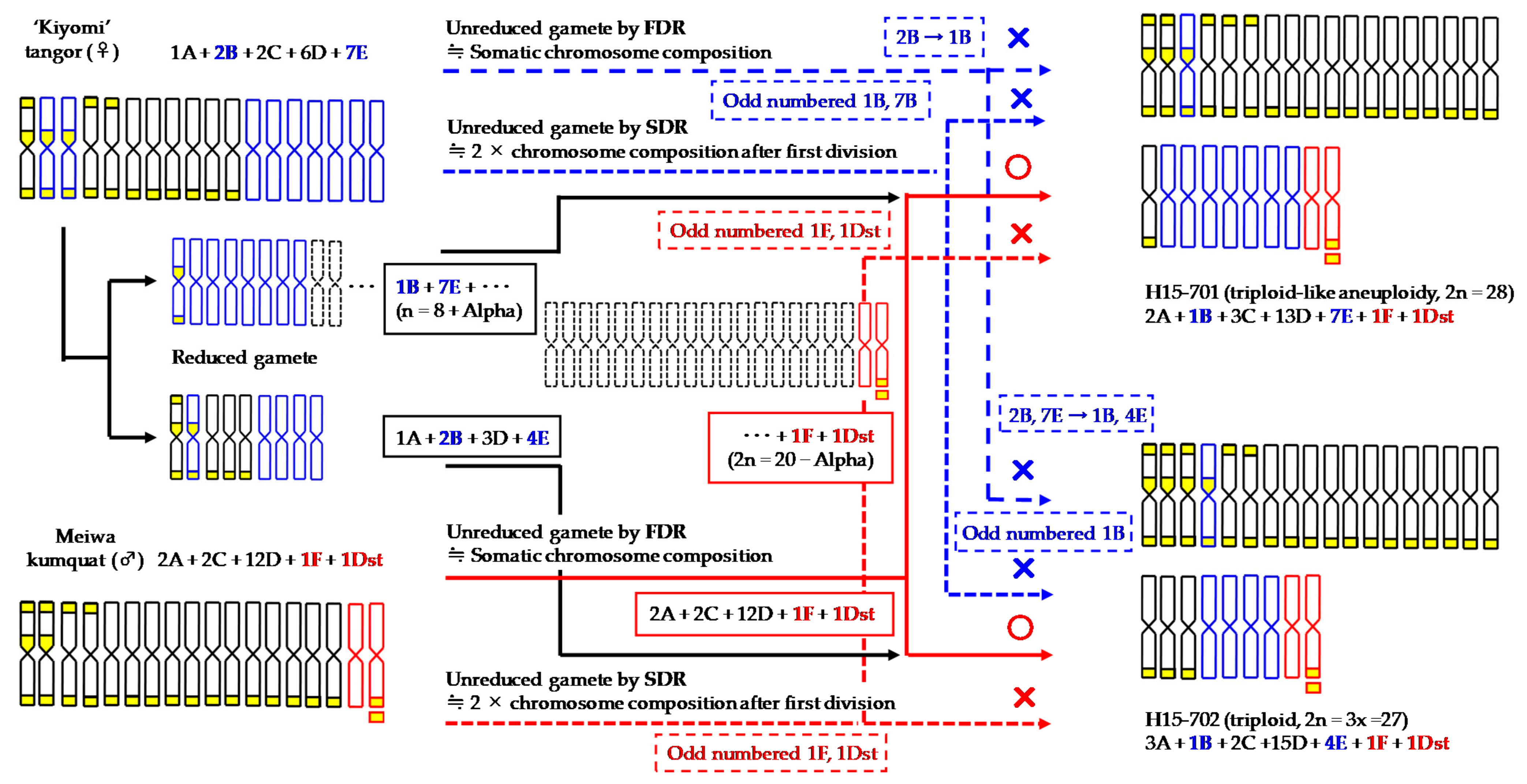 Agronomy 11 01988 g006 Agronomy 11 01988 g006