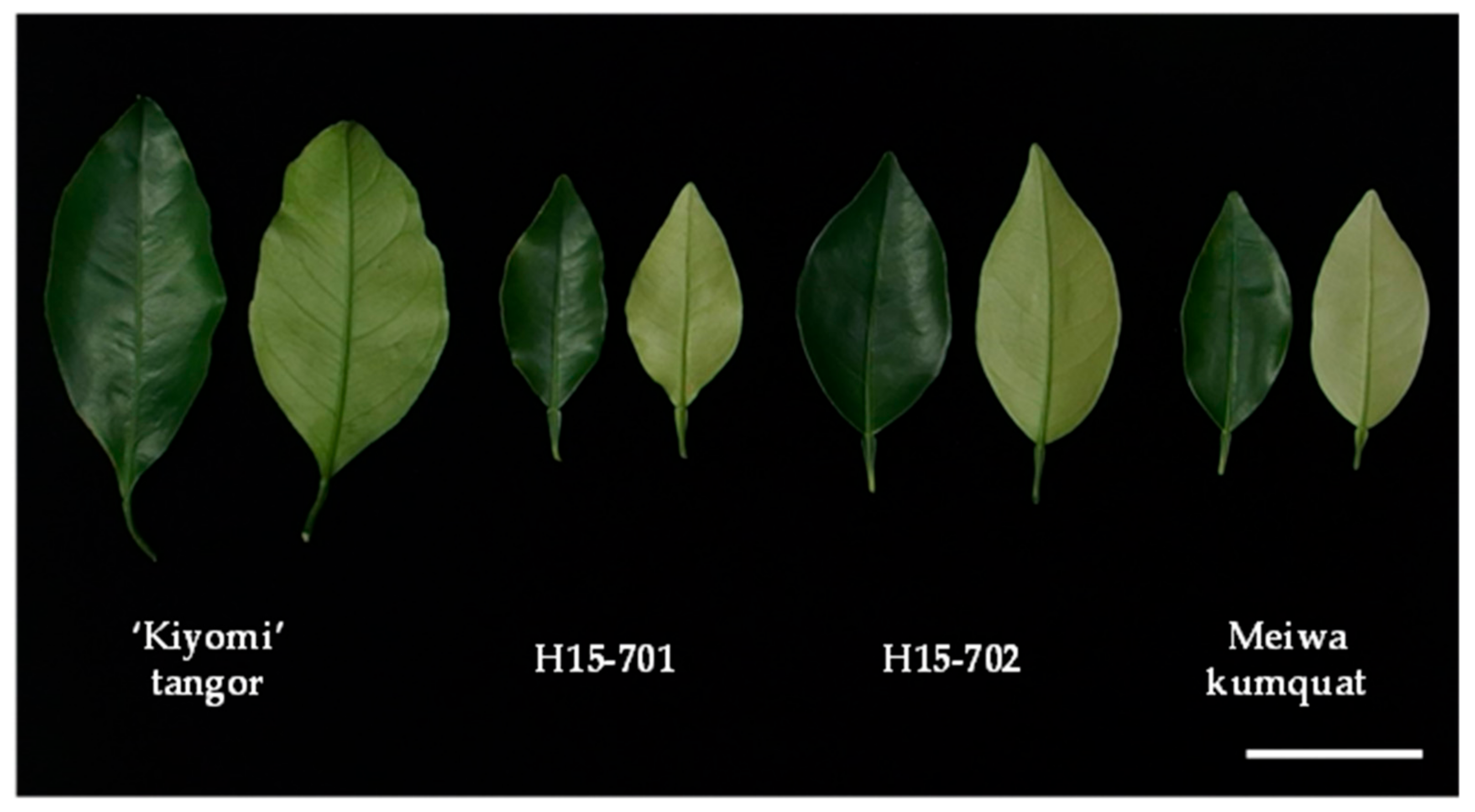 Agronomy 11 01988 g007 Agronomy 11 01988 g007