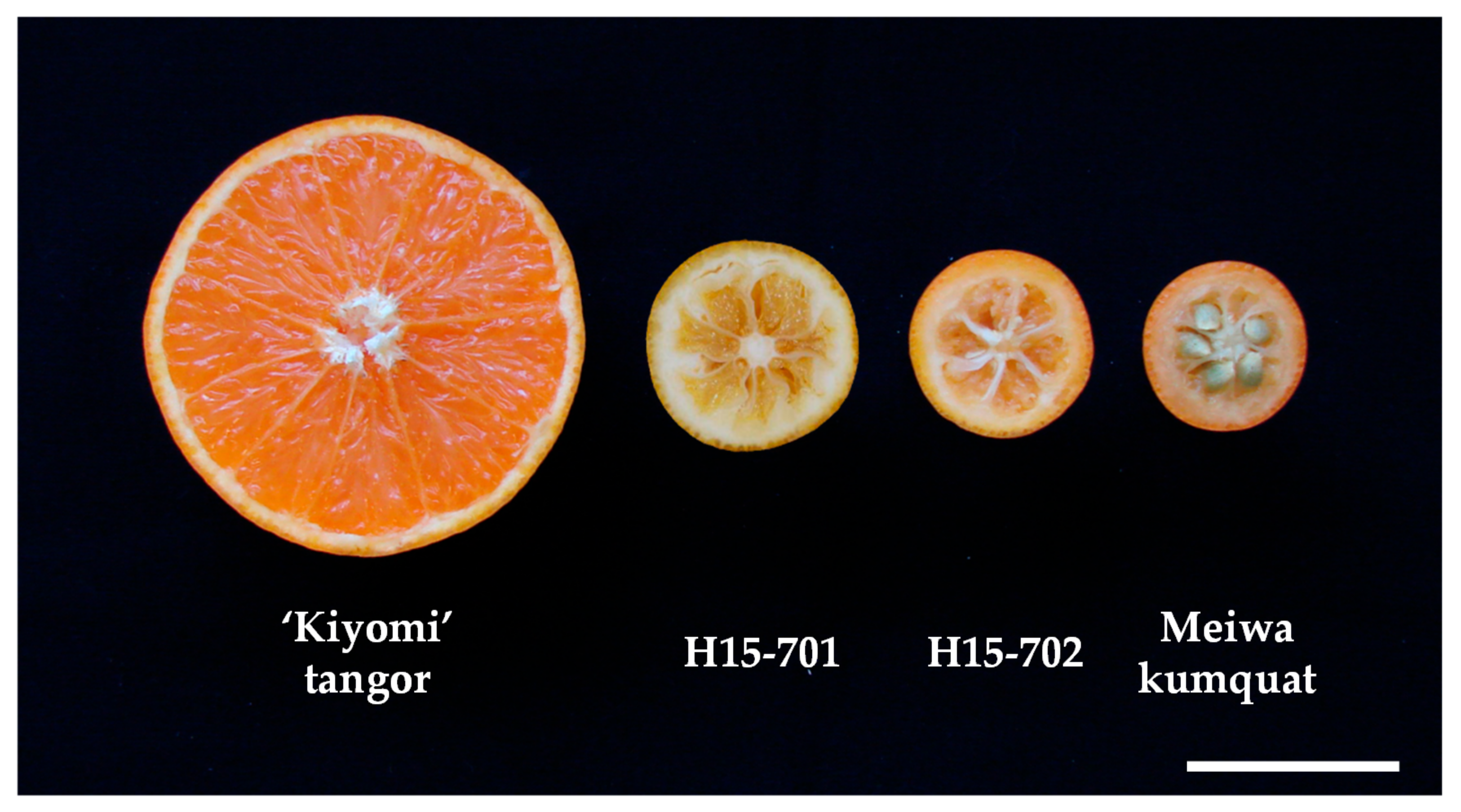 Agronomy 11 01988 g009 Agronomy 11 01988 g009