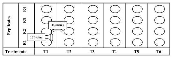 https://www.mdpi.com/agronomy/agronomy-11-02004/article_deploy/html/images/agronomy-11-02004-g001-550.jpg