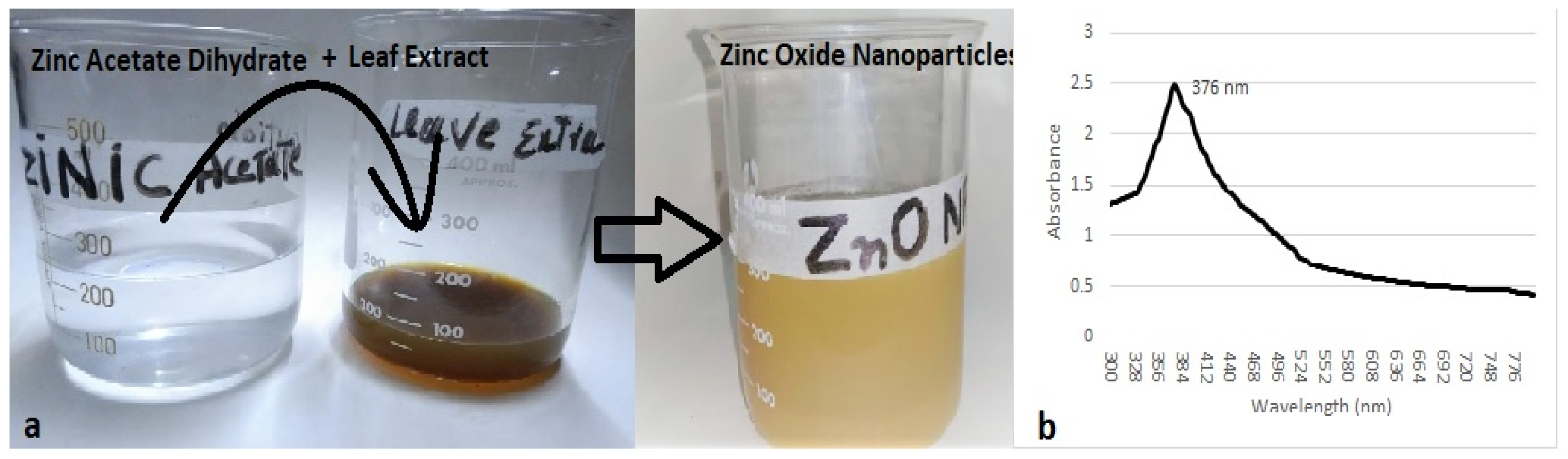 Agronomy 11 02004 g002