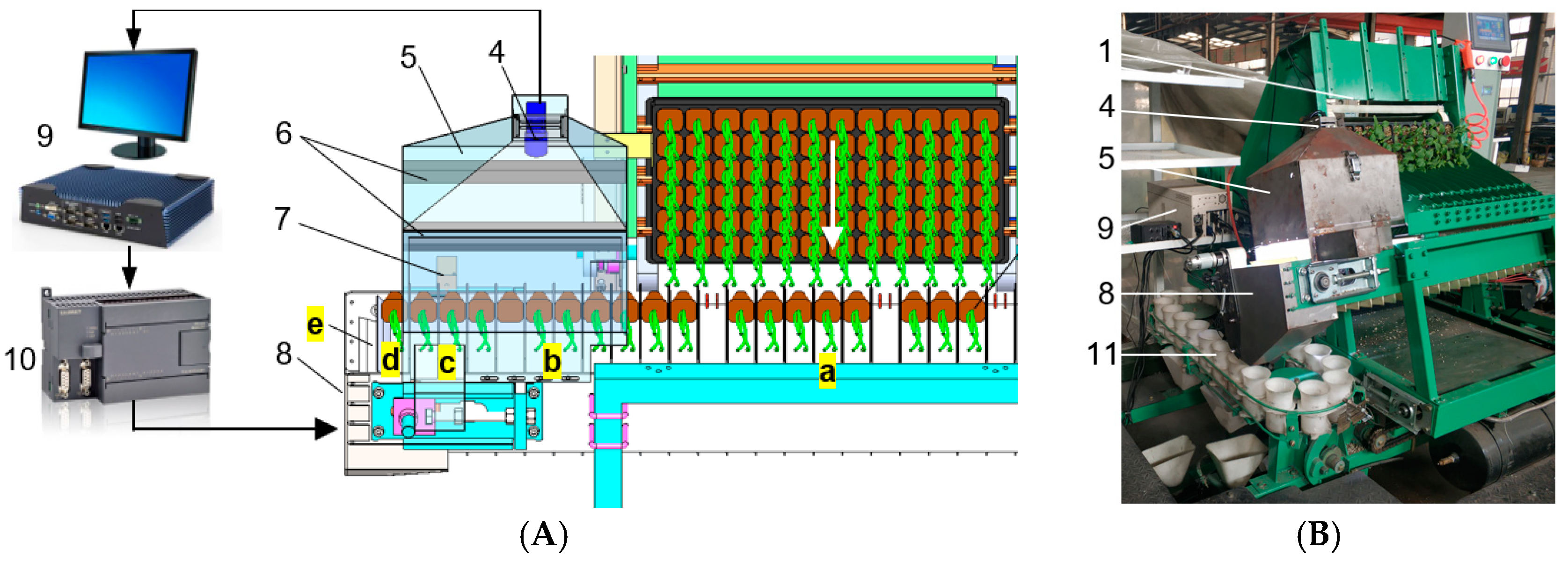 Agronomy 11 02031 g002