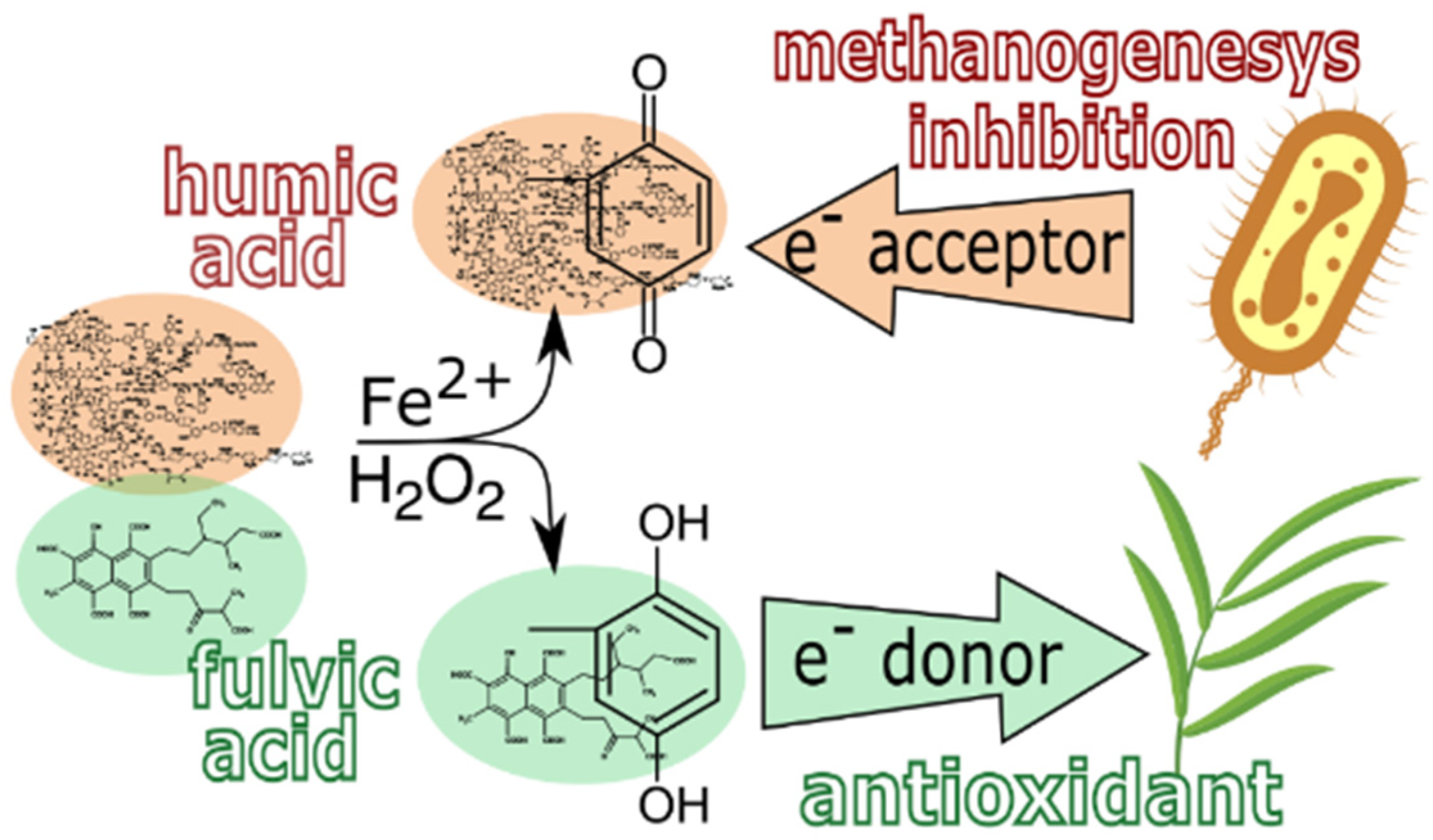 Agronomy 11 02047 g008