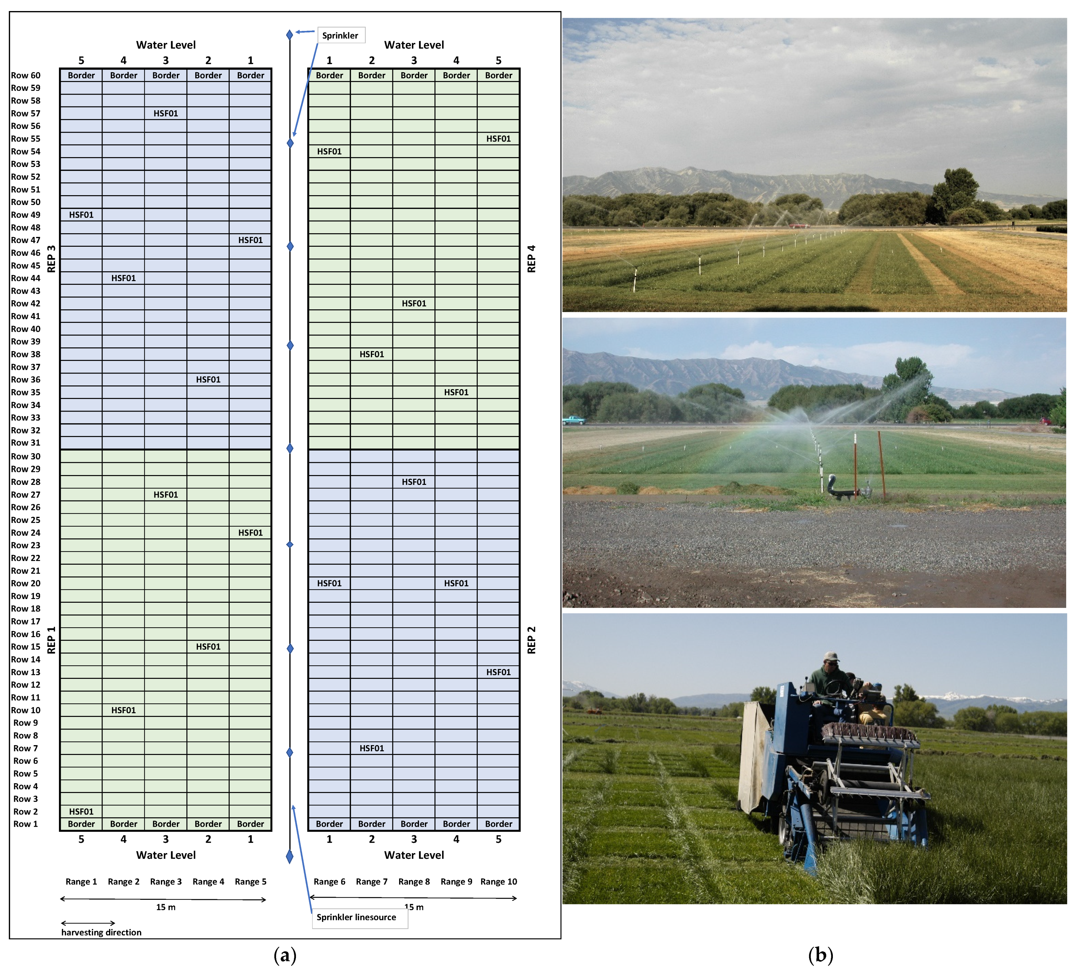 Agronomy 11 02094 g001 Agronomy 11 02094 g001