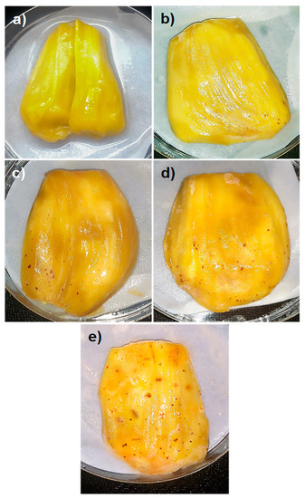 Agronomy | Free Full-Text | Pathogenic Variability of the  Jackfruit-Bronzing Bacterium Pantoea stewartii Subspecies stewartii  Infection to Jackfruit Varieties and Its Pivotal Plant Hosts in Malaysia