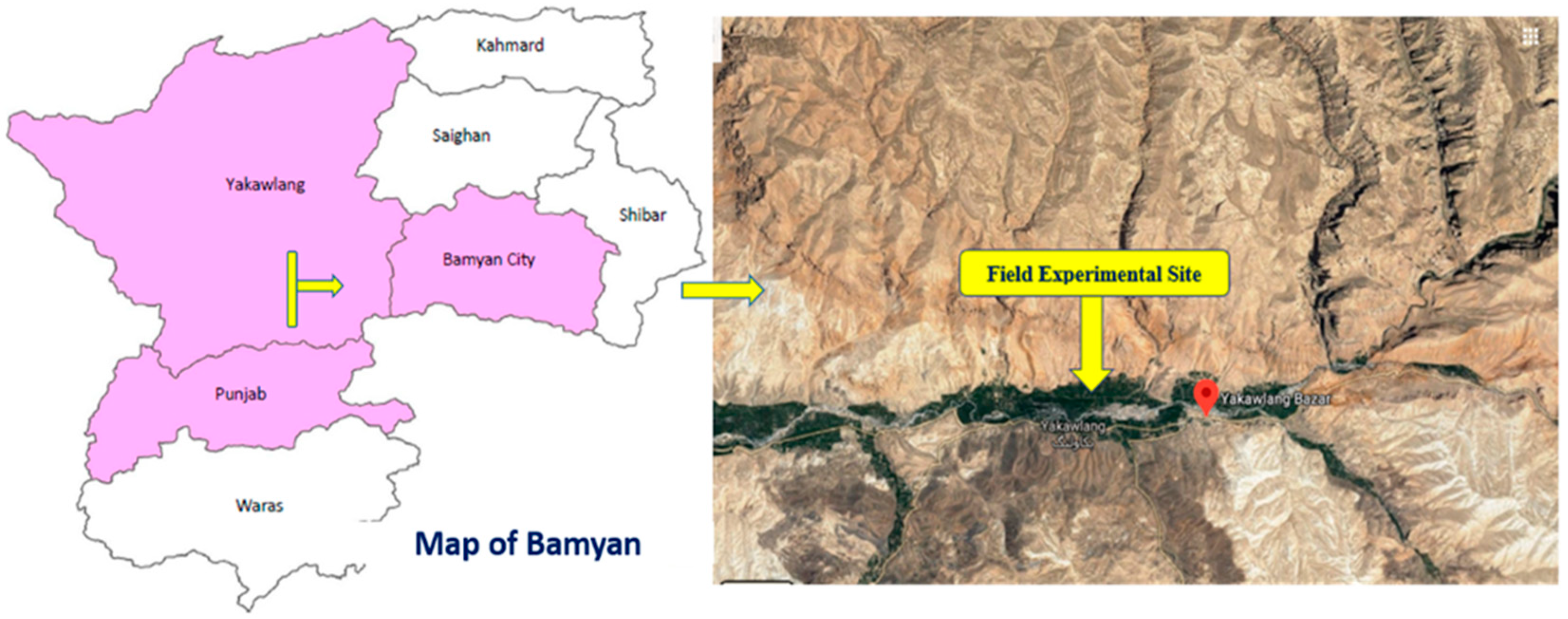 Agronomy 11 02181 g001