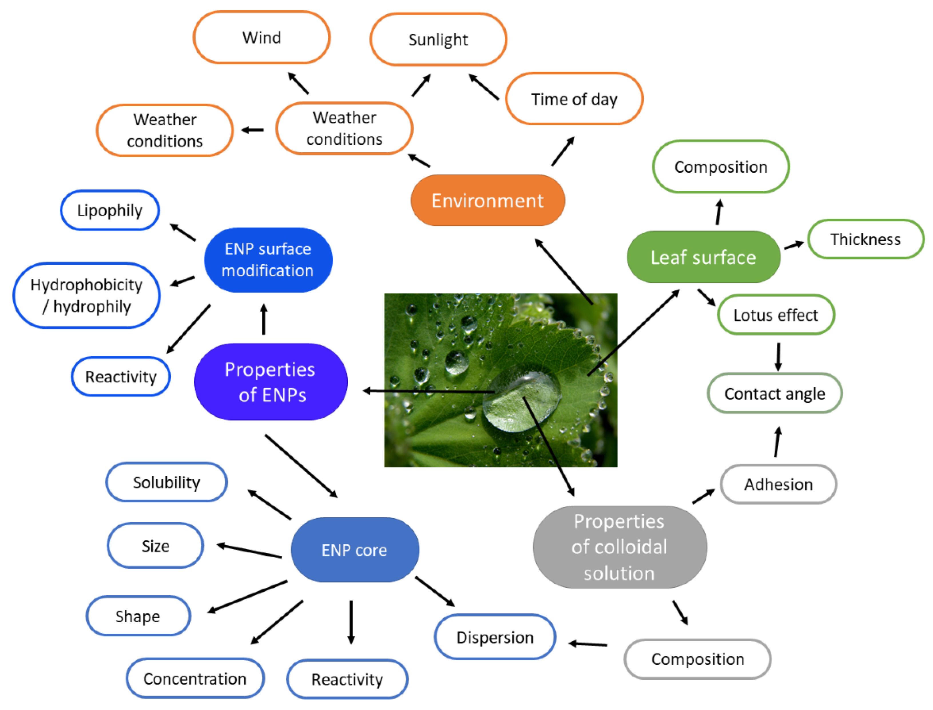 Agronomy 11 02281 g001