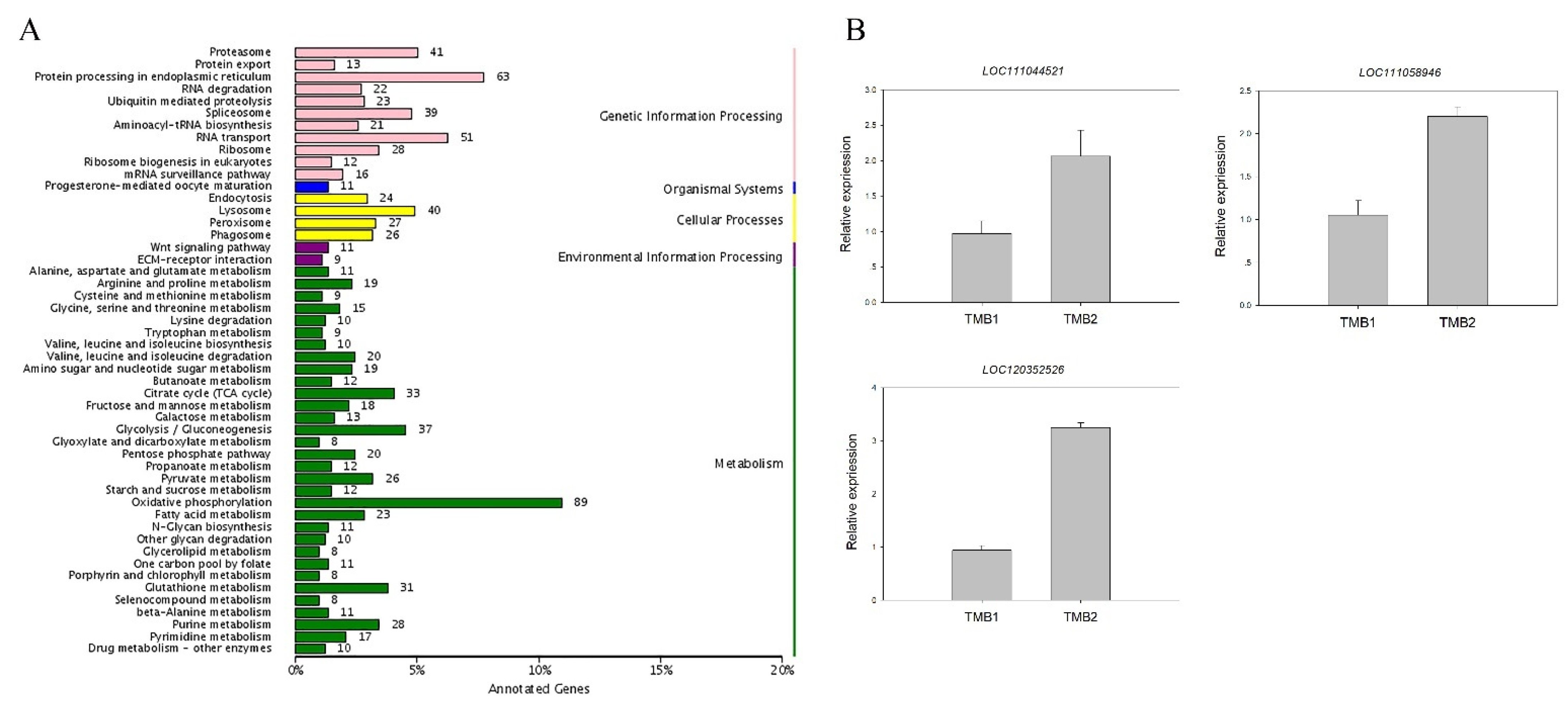 Agronomy | Free Full-Text | The Effect of Antibiotic Treatment on 