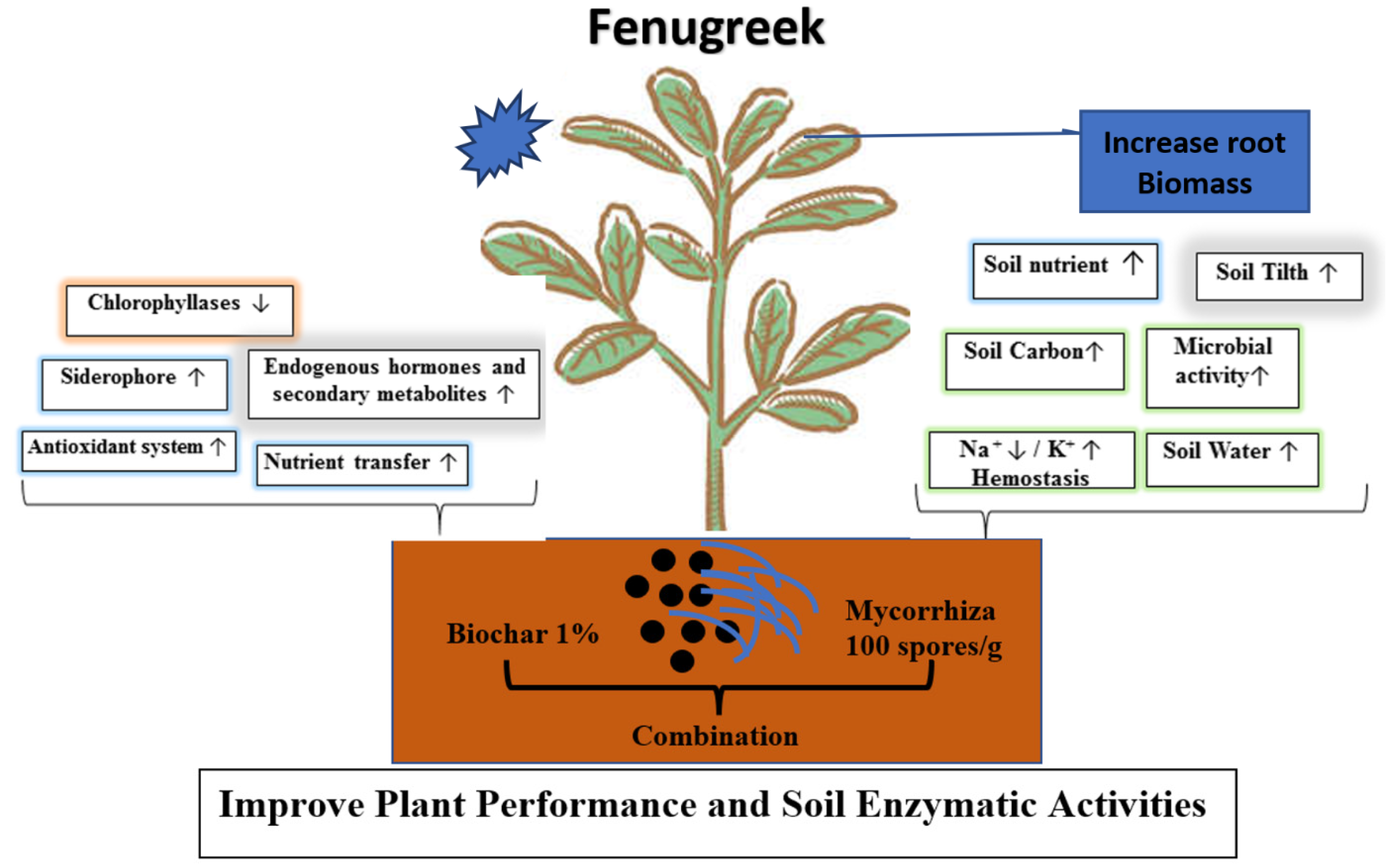 Agronomy 11 02341 g005