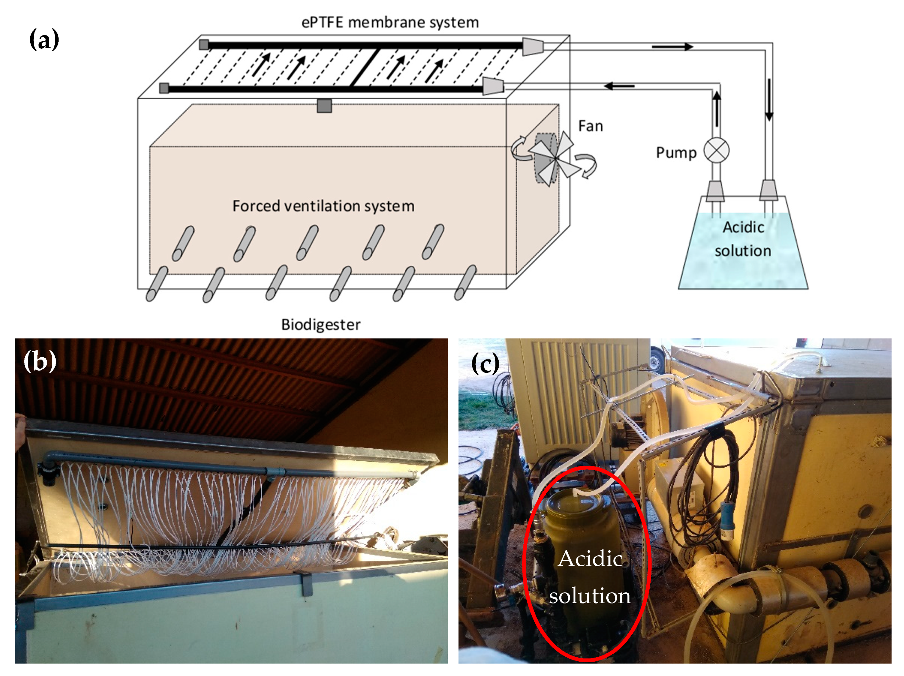 Agronomy 11 02384 g001