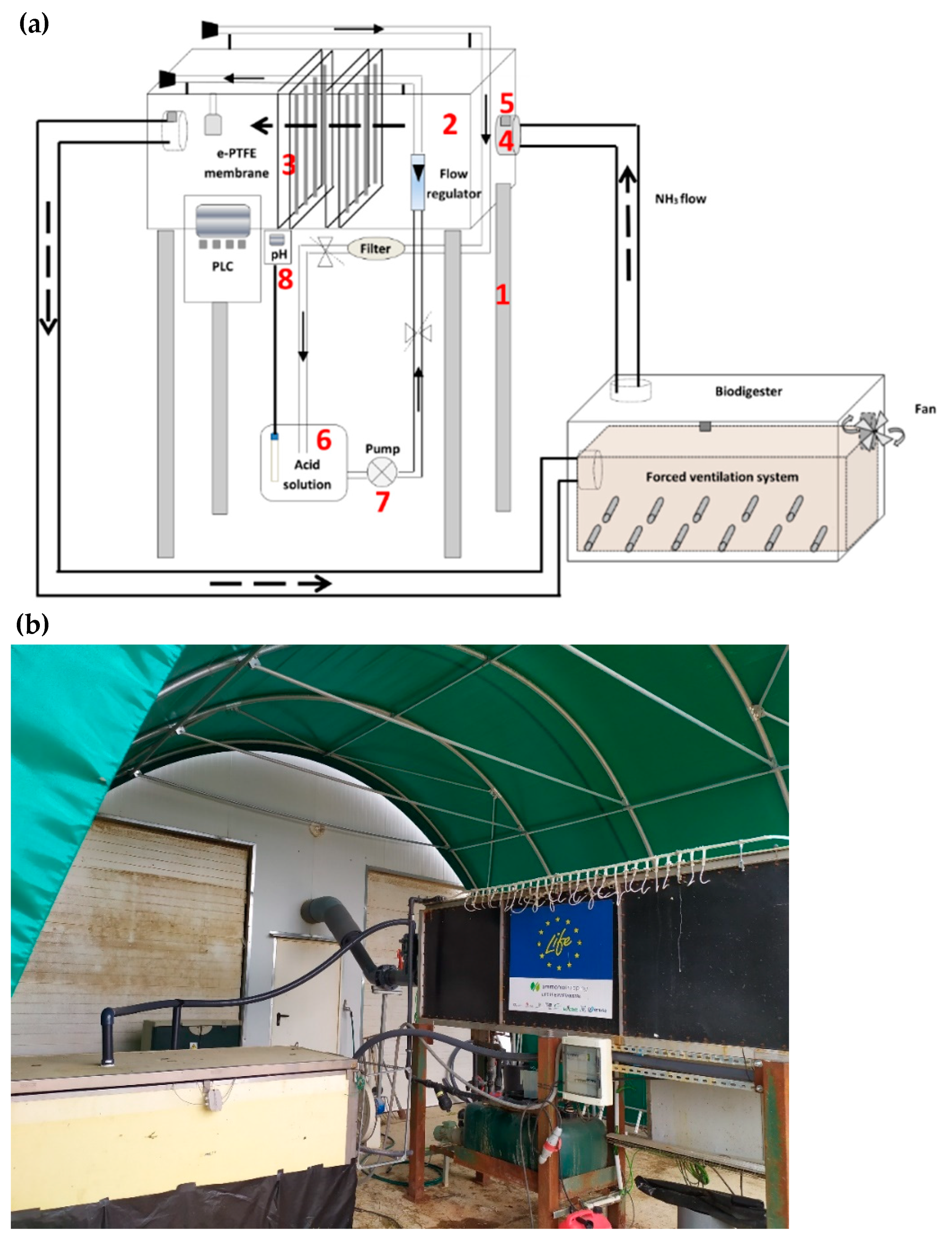 Agronomy 11 02384 g002