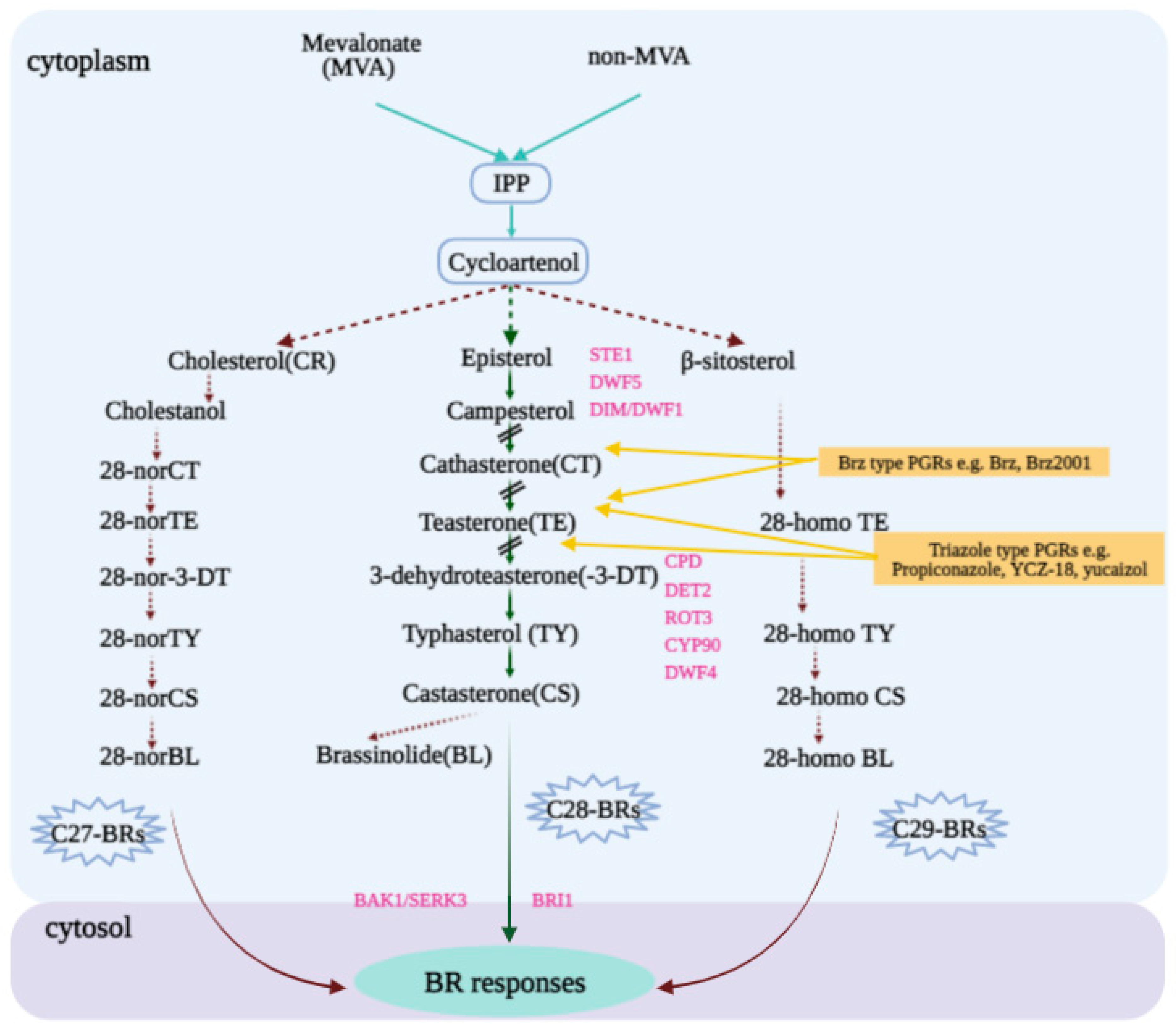 Agronomy 11 02421 g002 Agronomy 11 02421 g002
