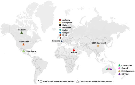 https://www.mdpi.com/agronomy/agronomy-11-02452/article_deploy/html/images/agronomy-11-02452-g001-550.jpg