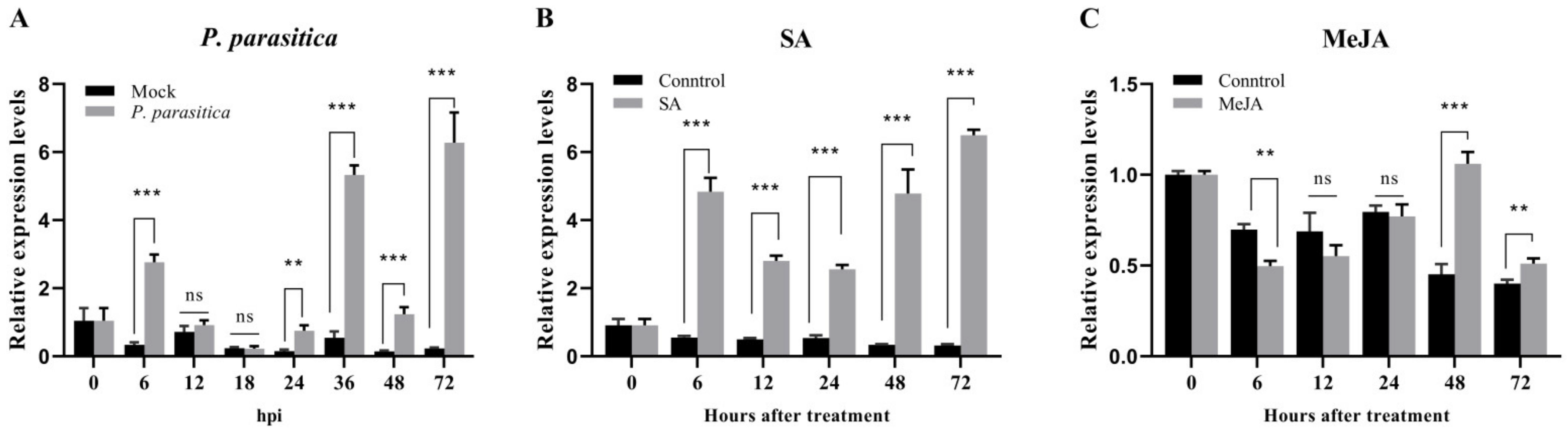 Agronomy 11 02478 g003 Agronomy 11 02478 g003