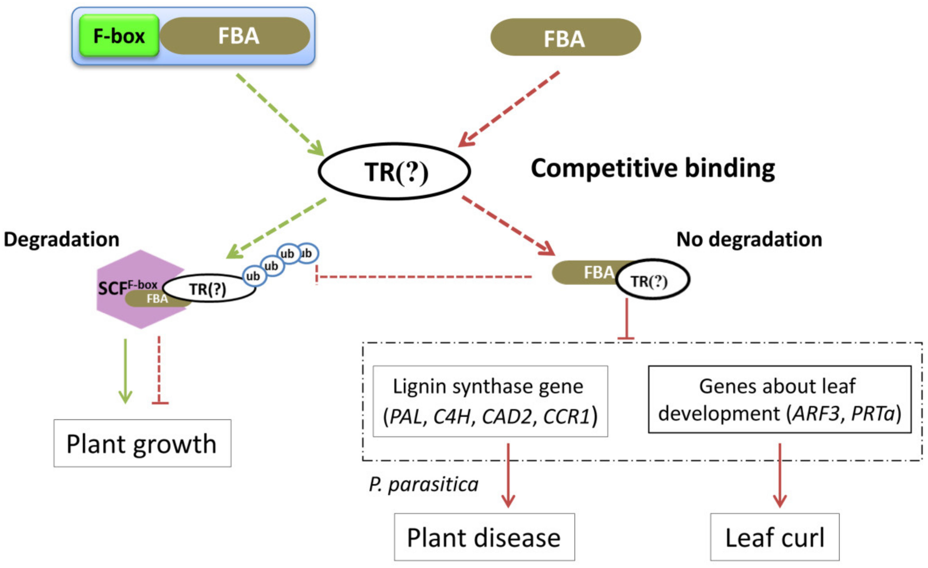 Agronomy 11 02478 g009 Agronomy 11 02478 g009