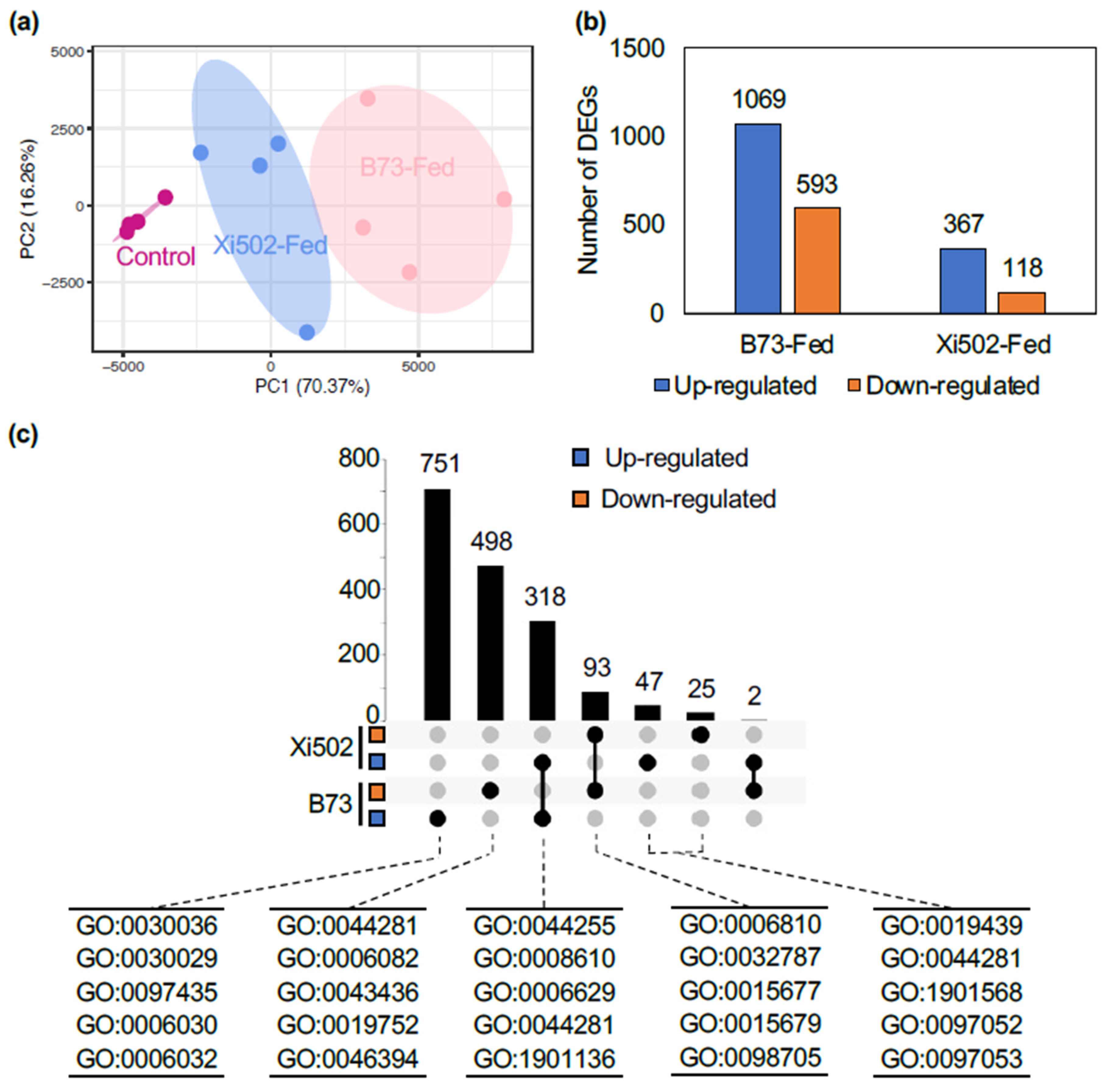 Agronomy 11 02503 g002