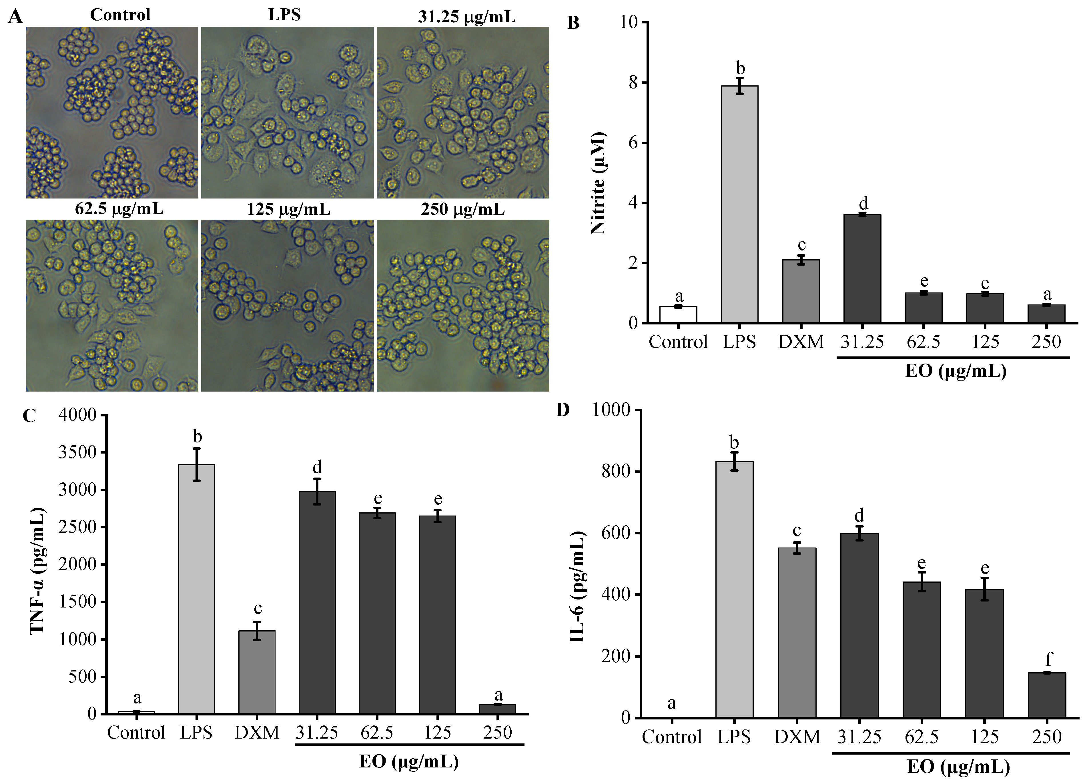 Agronomy 11 02506 g003